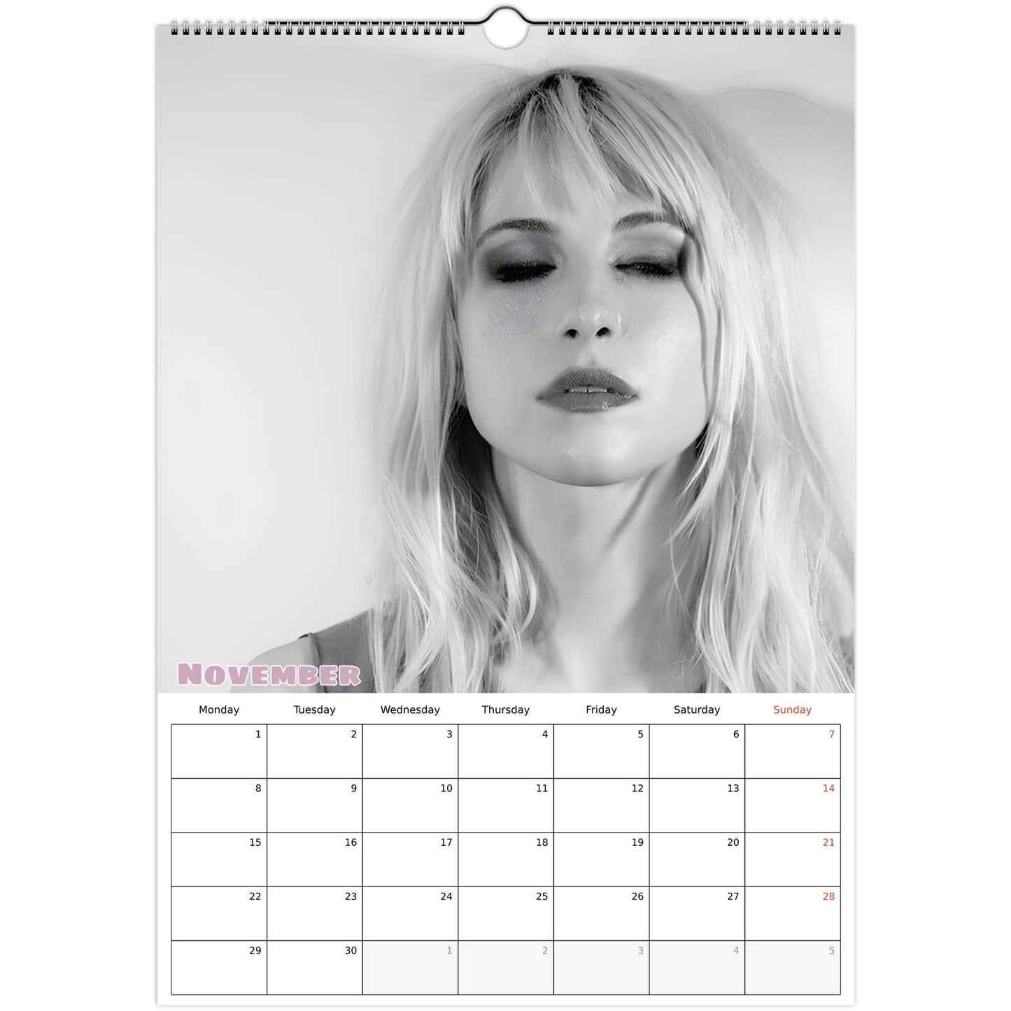 Hayley Williams Calendar November page