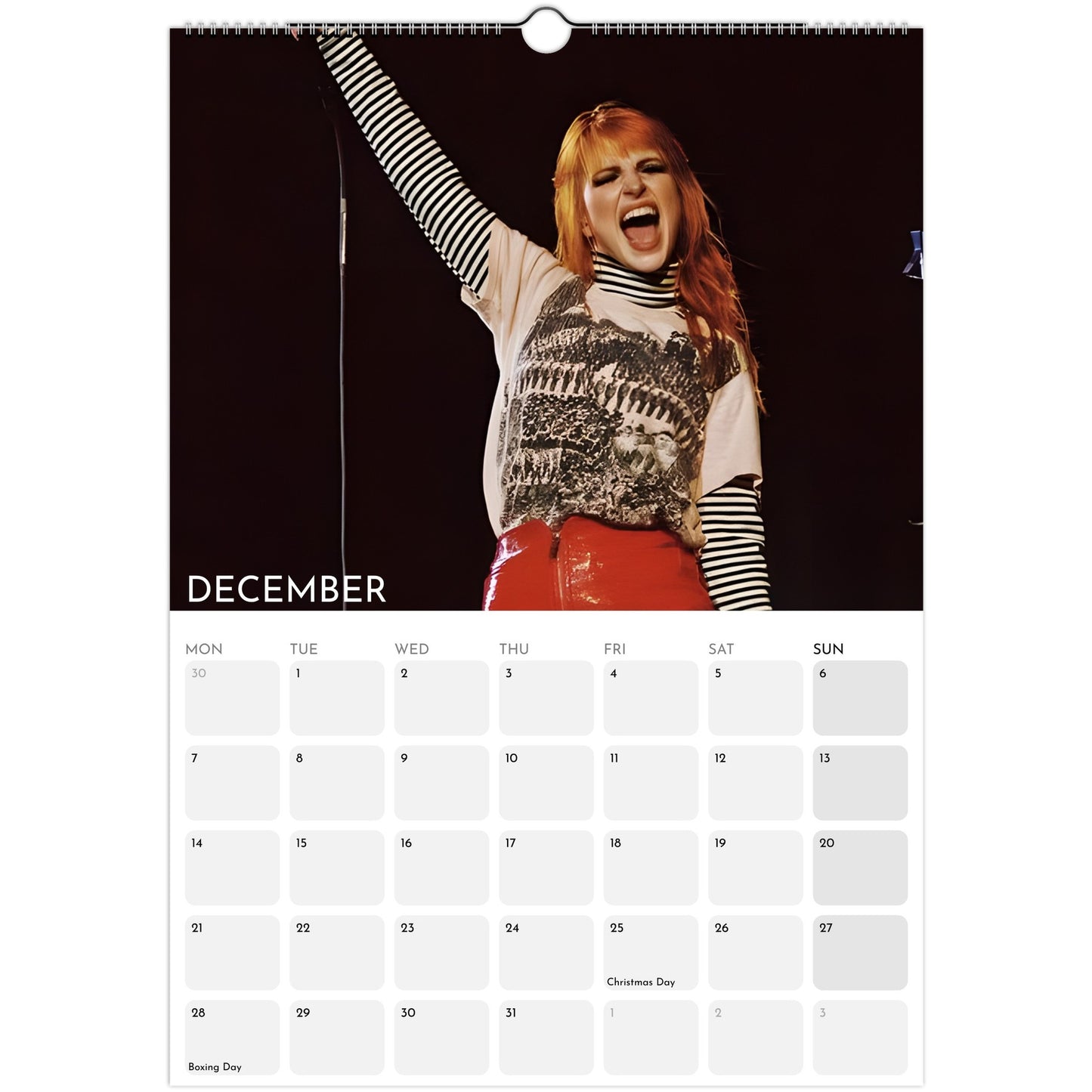 Paramore and Hayley Williams 2026 A3 wall calendar December
