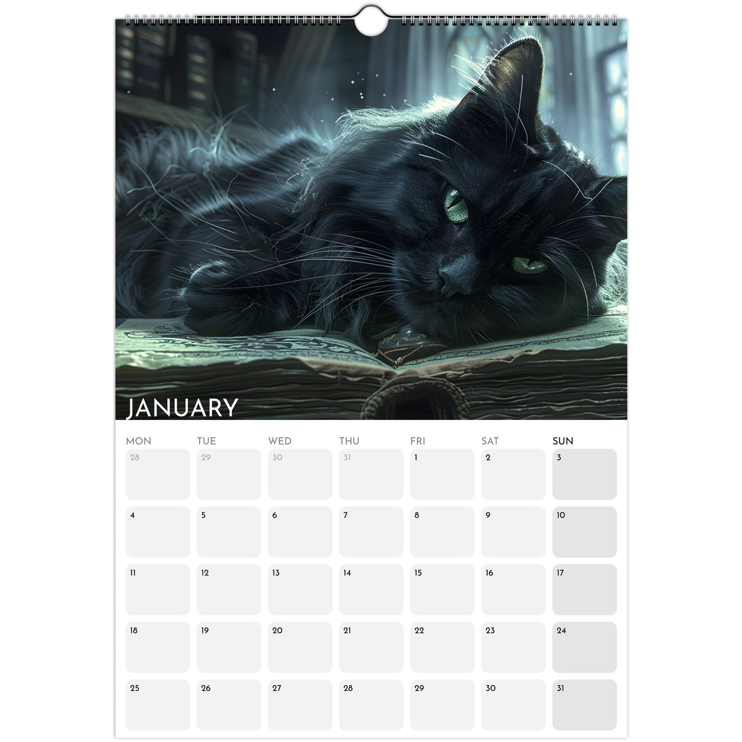 Witches’ Circle 2026 A3 wall calendar January