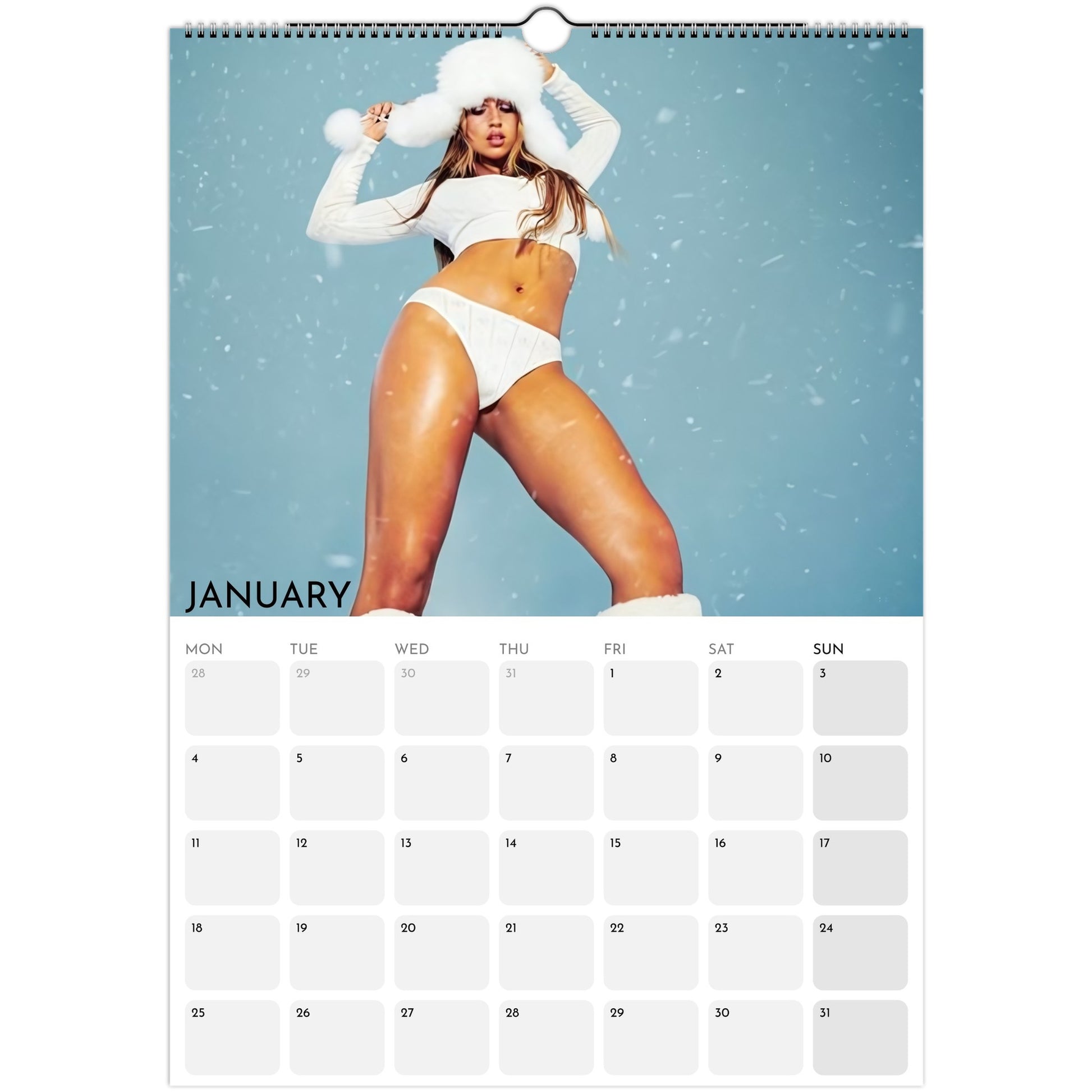 Tate McRae 2026 A3 wall calendar January 2027