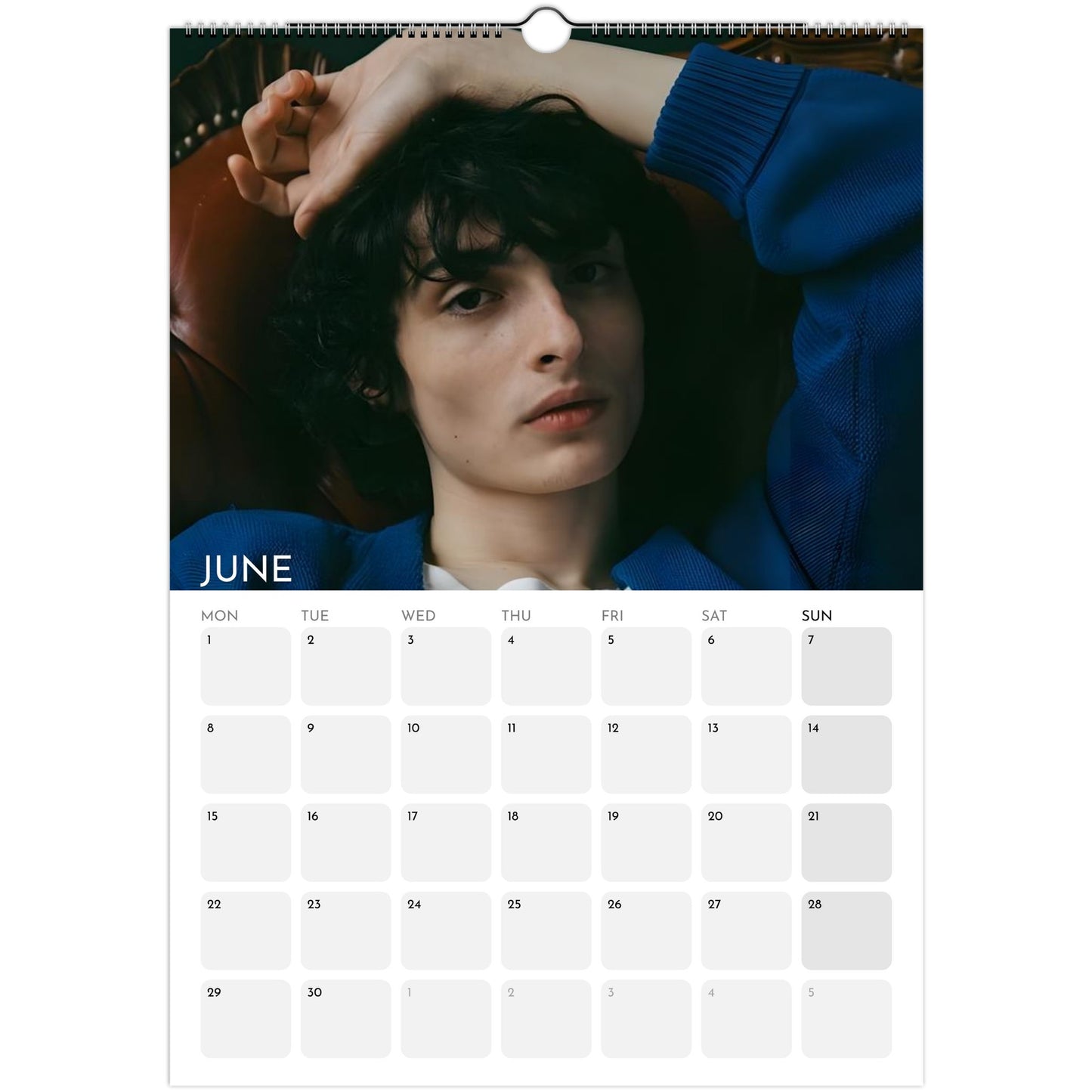Stranger Things 2026 A3 wall calendar June