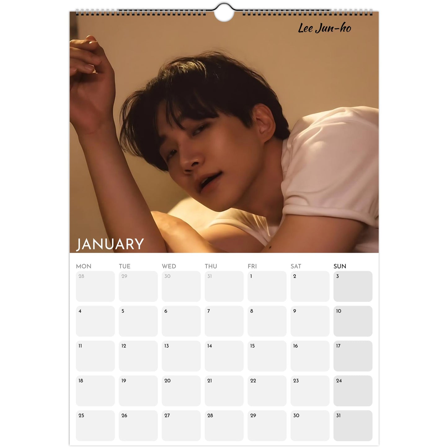 Hot Korean Actors 2026 A3 wall calendar January 2027