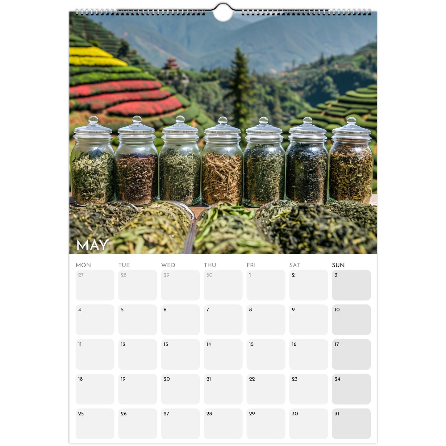 Tea Lovers 2026 A3 wall calendar May