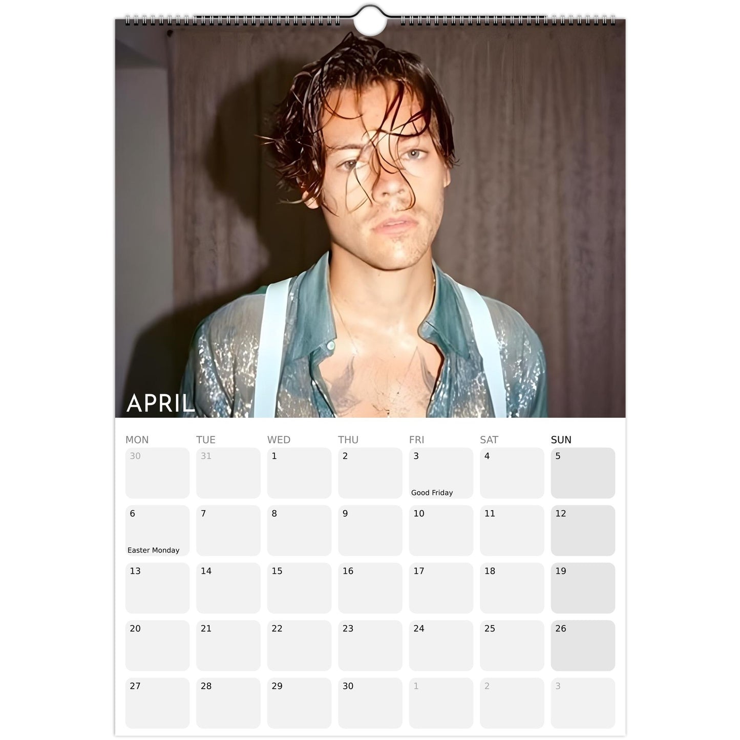 Harry Styles 2026 A3 wall calendar April