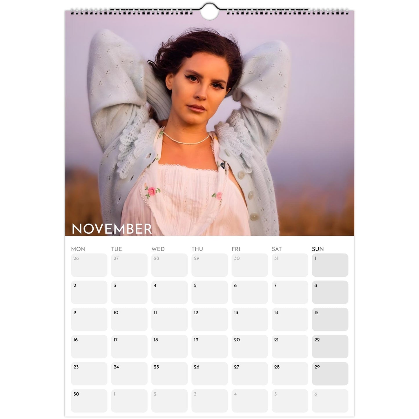Lana Del Rey 2026 A3 wall calendar November