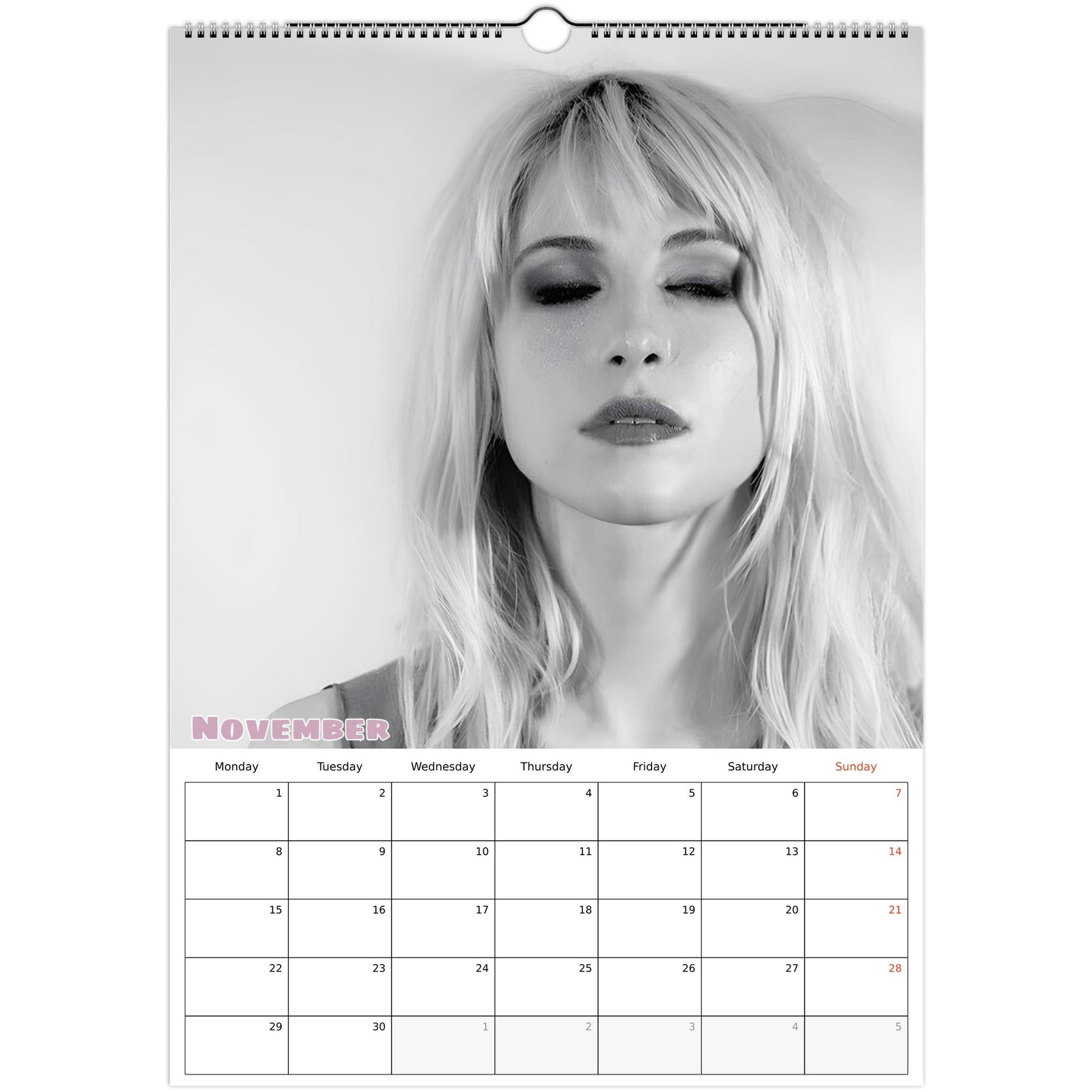 Hayley Williams Calendar November page