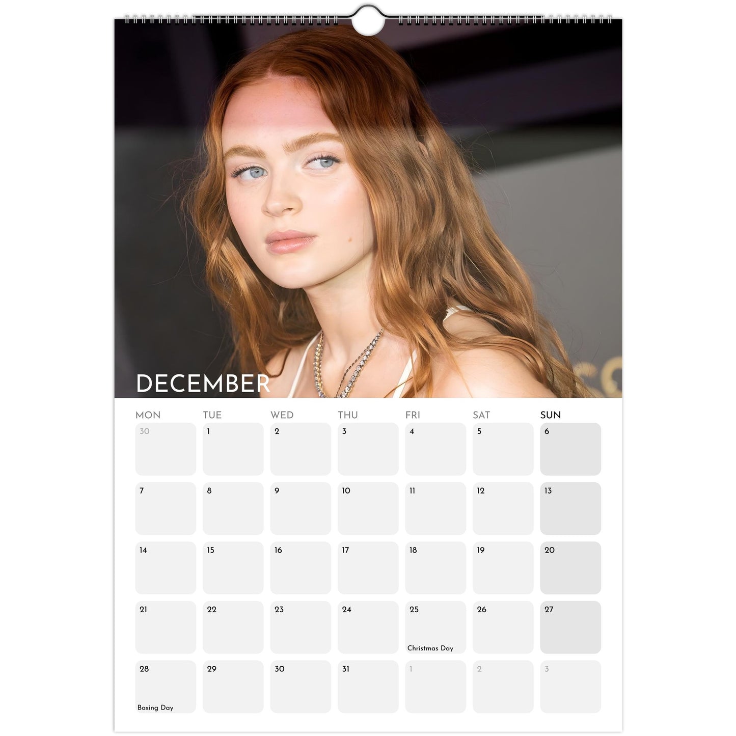 Stranger Things 2026 A3 wall calendar December