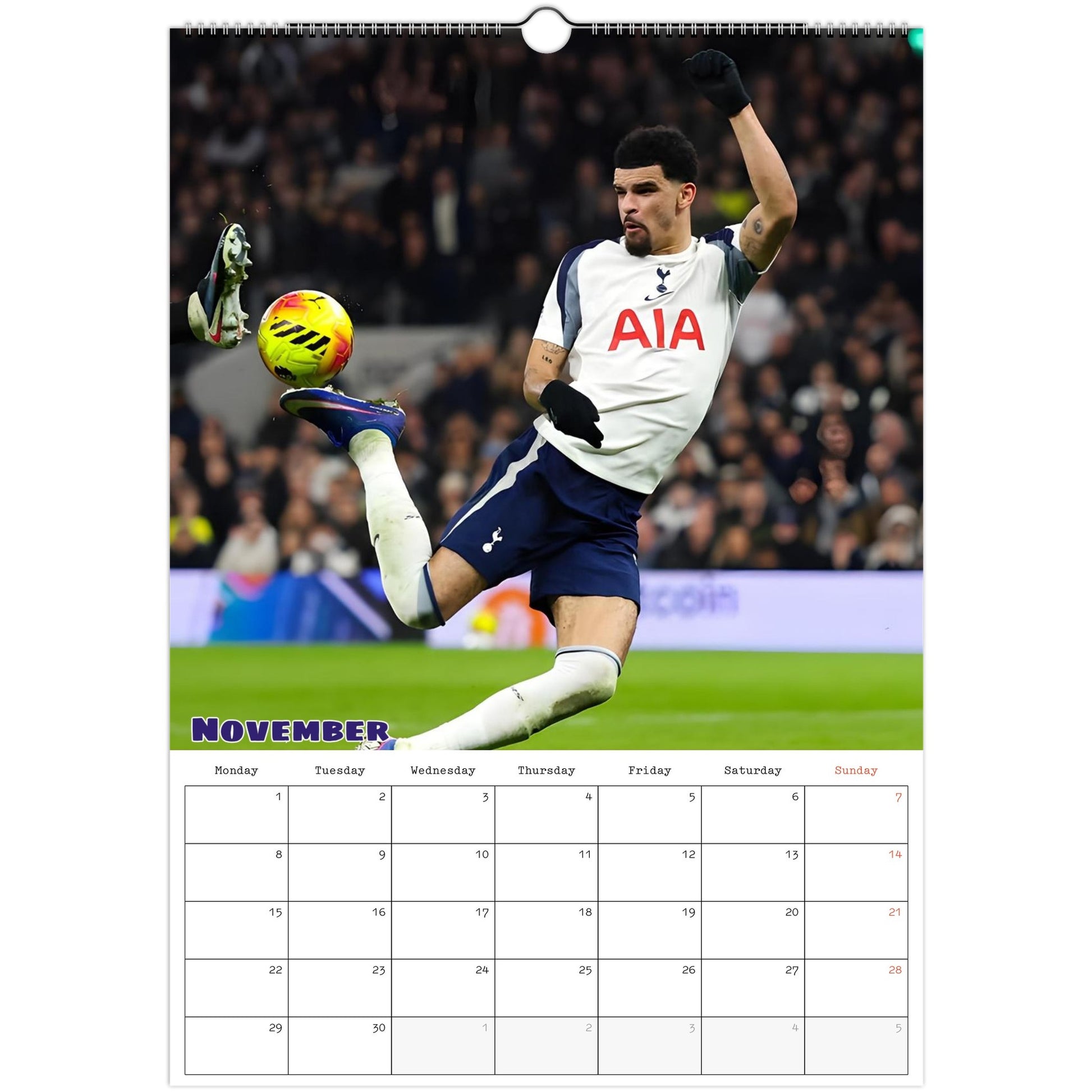 Tottenham Calendar November page