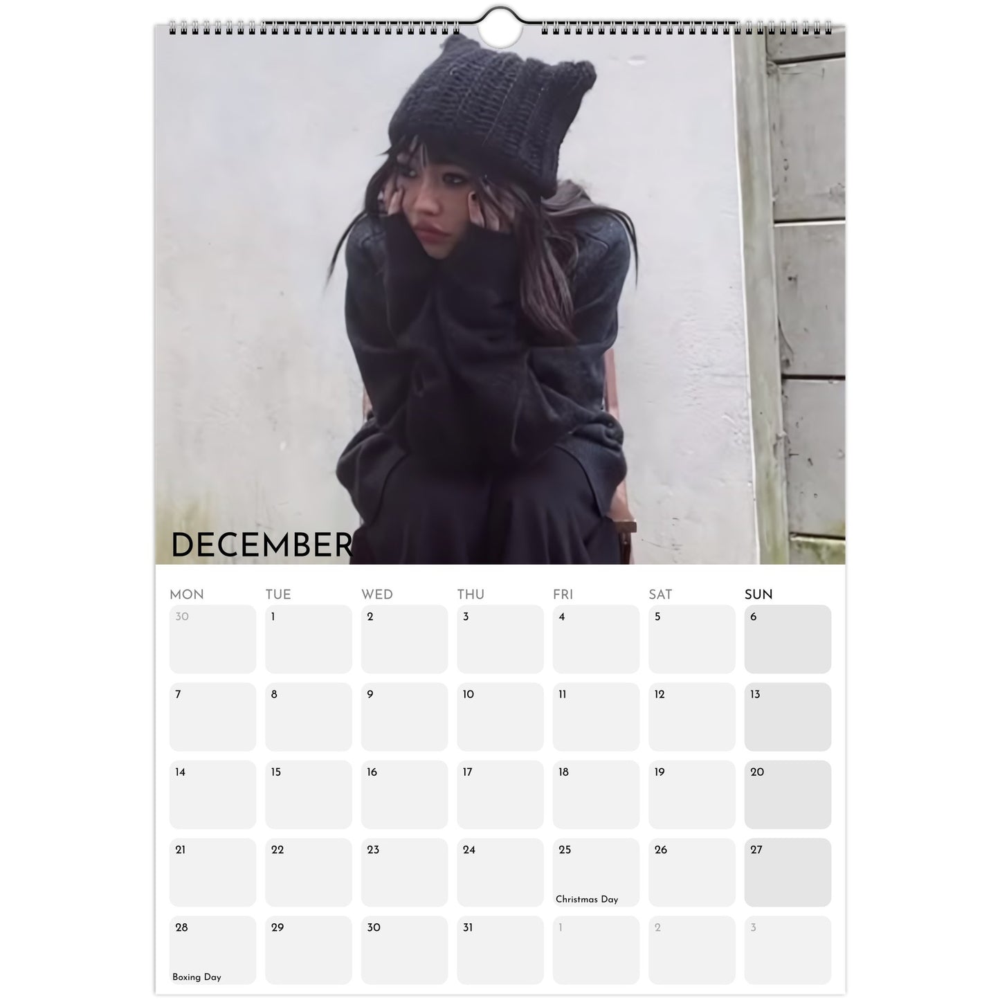 Beabadoobee 2026 A3 wall calendar December