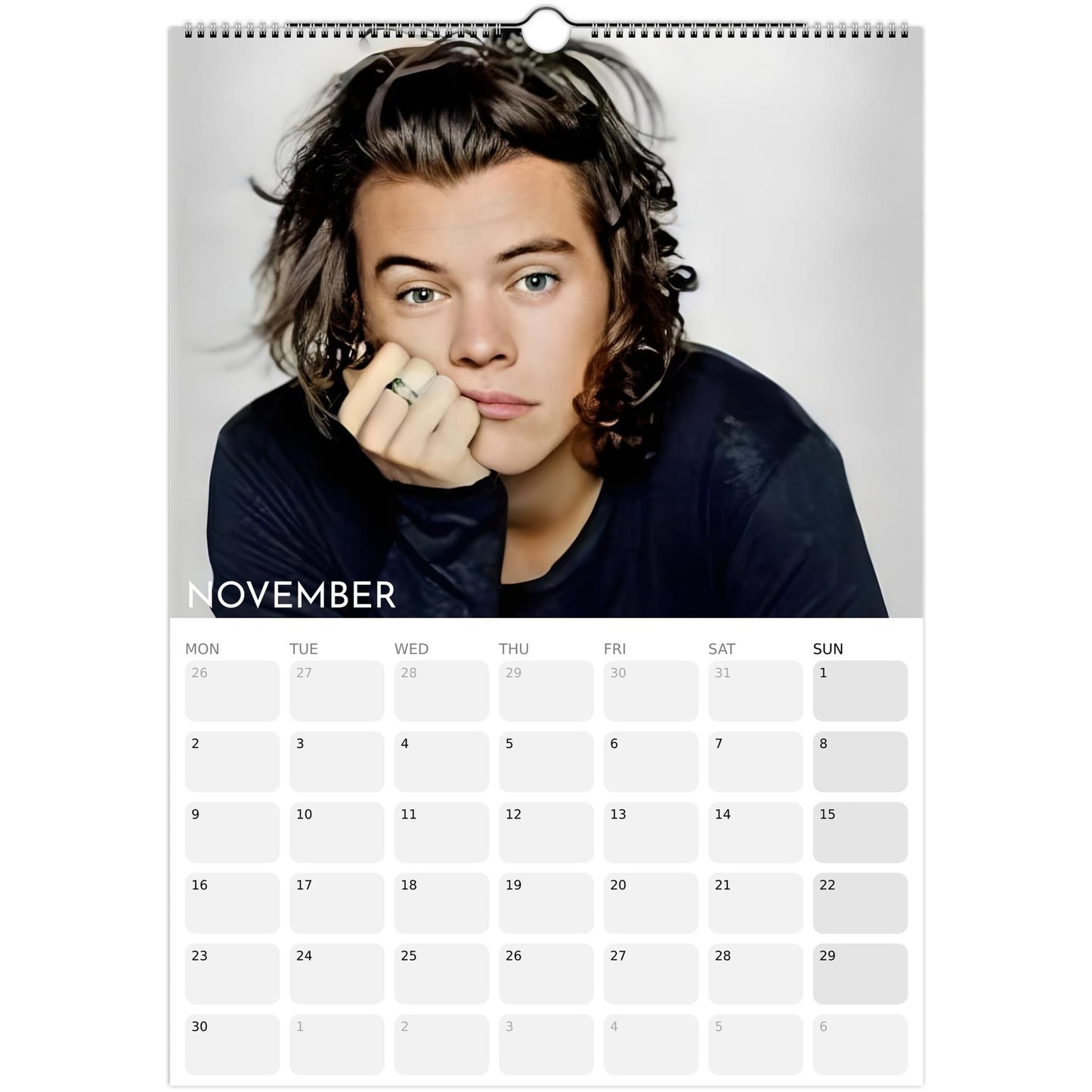Harry Styles 2026 A3 wall calendar November