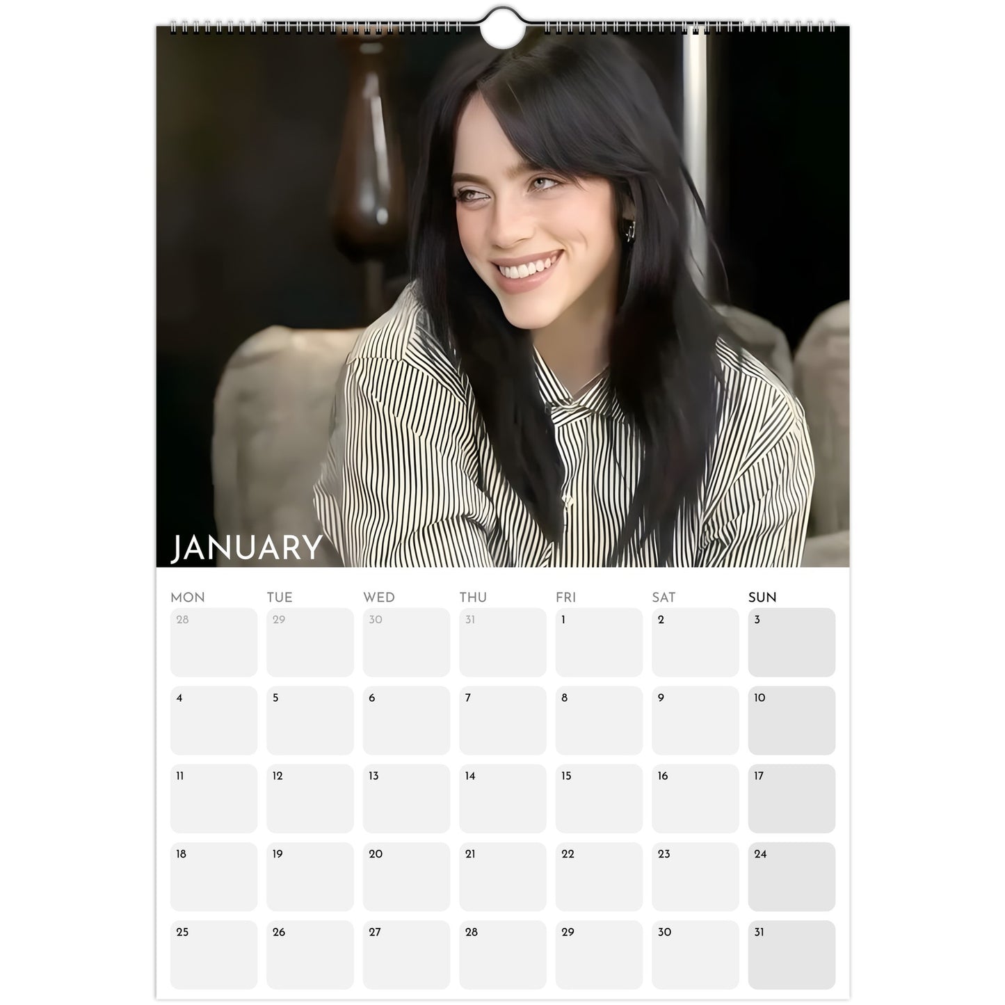 Billie Eilish 2026 A3 wall calendar January 2027