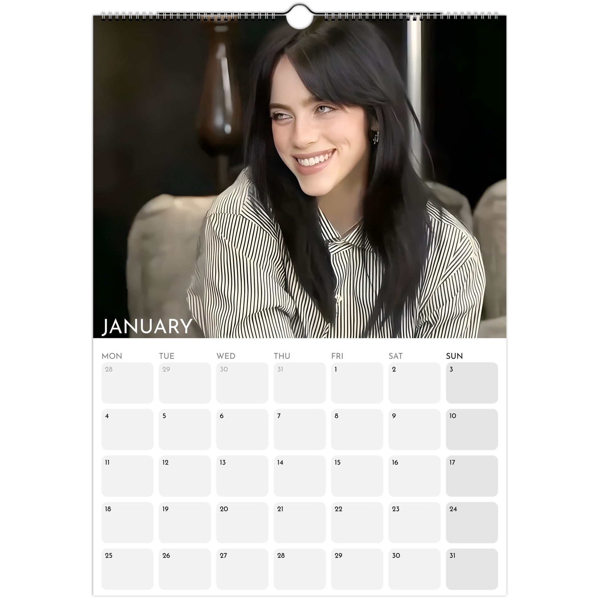 Billie Eilish 2026 A3 wall calendar January 2027