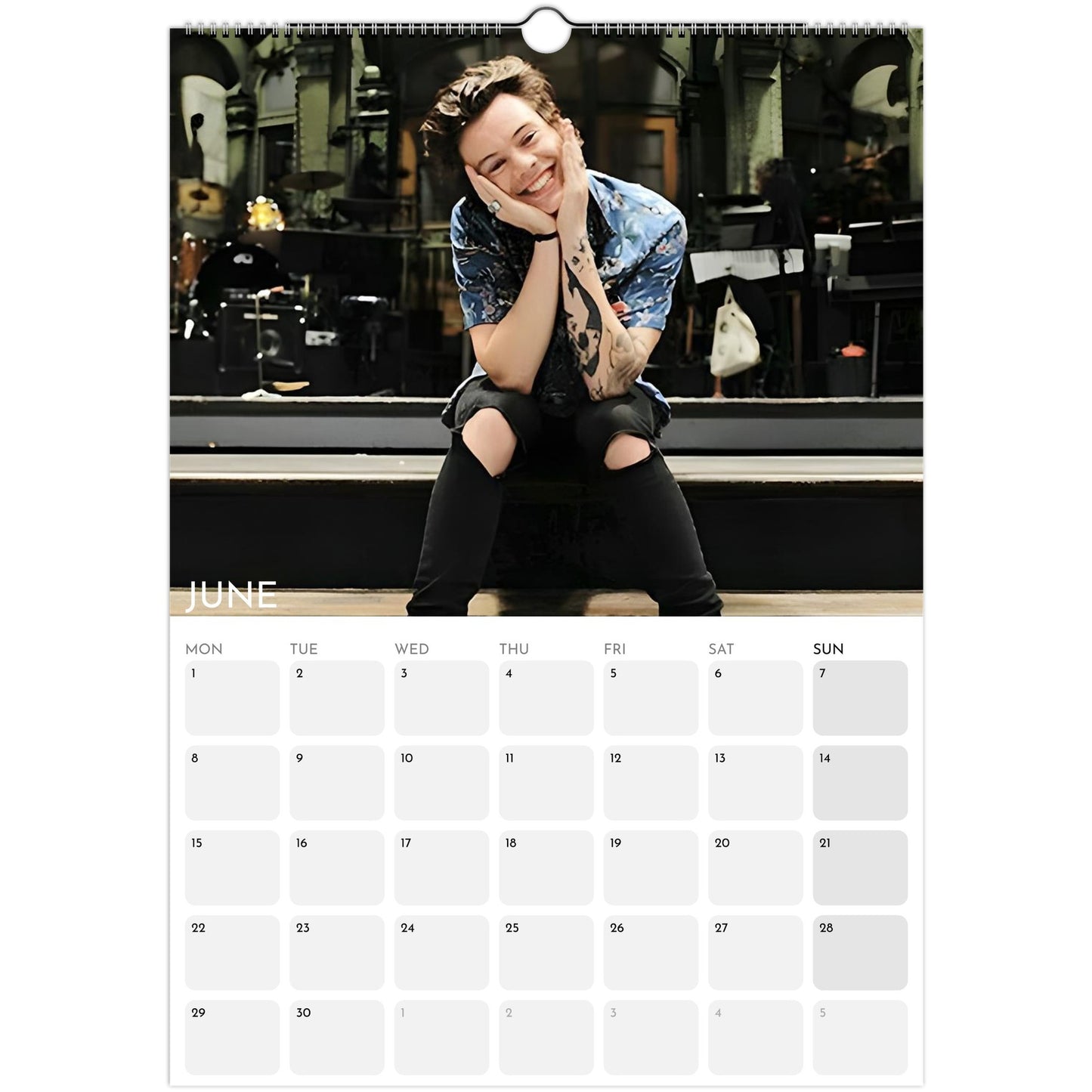 Harry Styles 2026 A3 wall calendar June