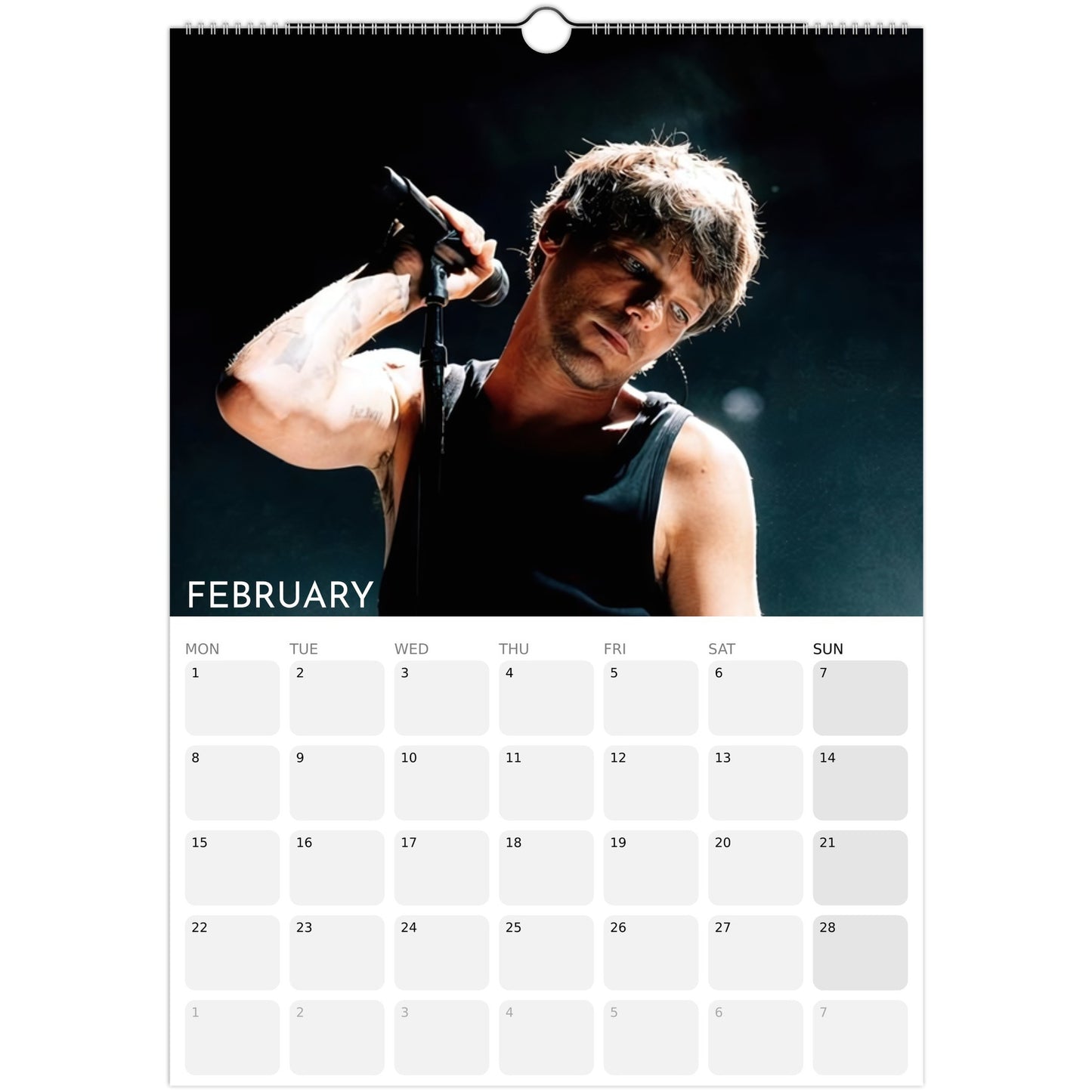 Louis Tomlinson 2026 A3 wall calendar February  2027