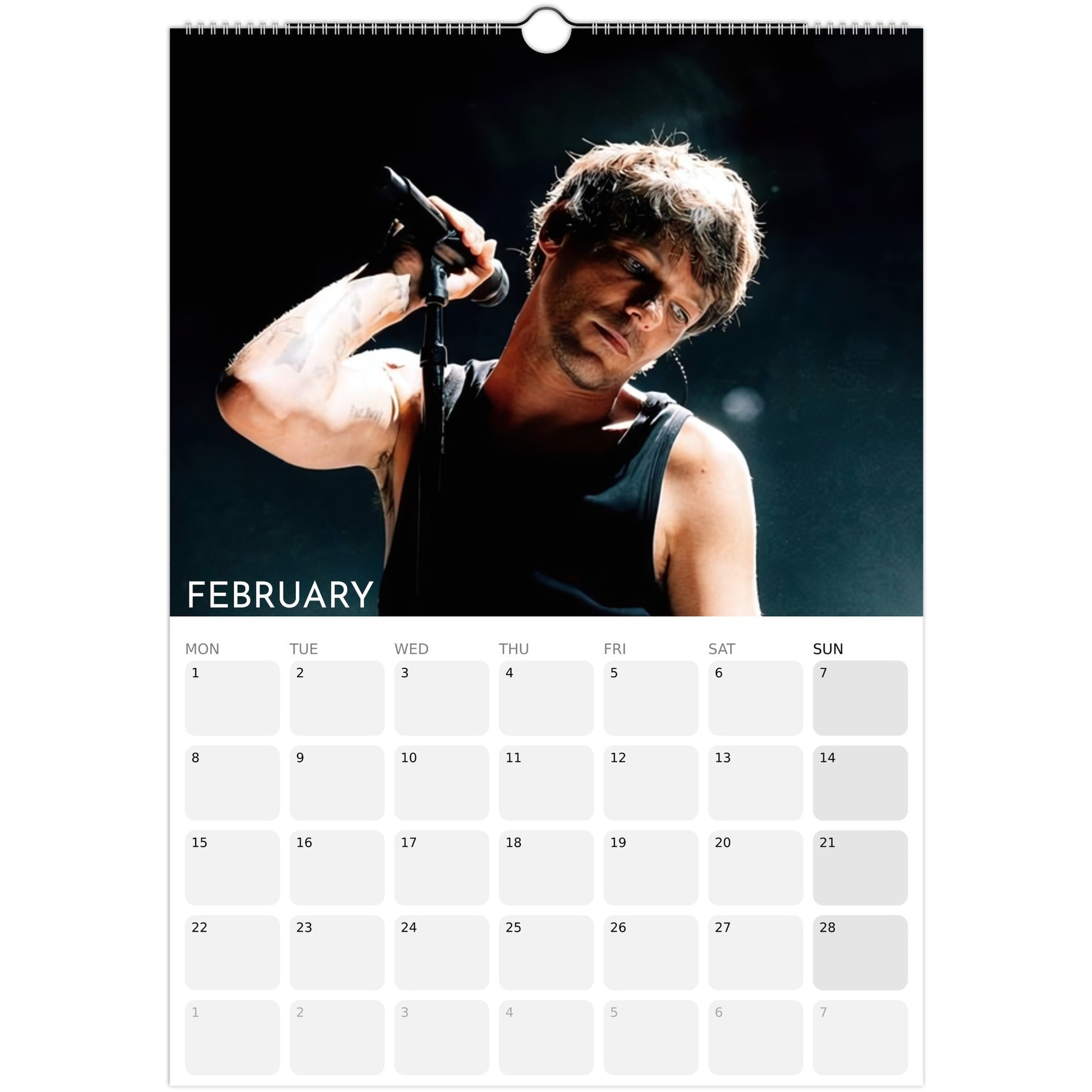 Louis Tomlinson 2026 A3 wall calendar February  2027
