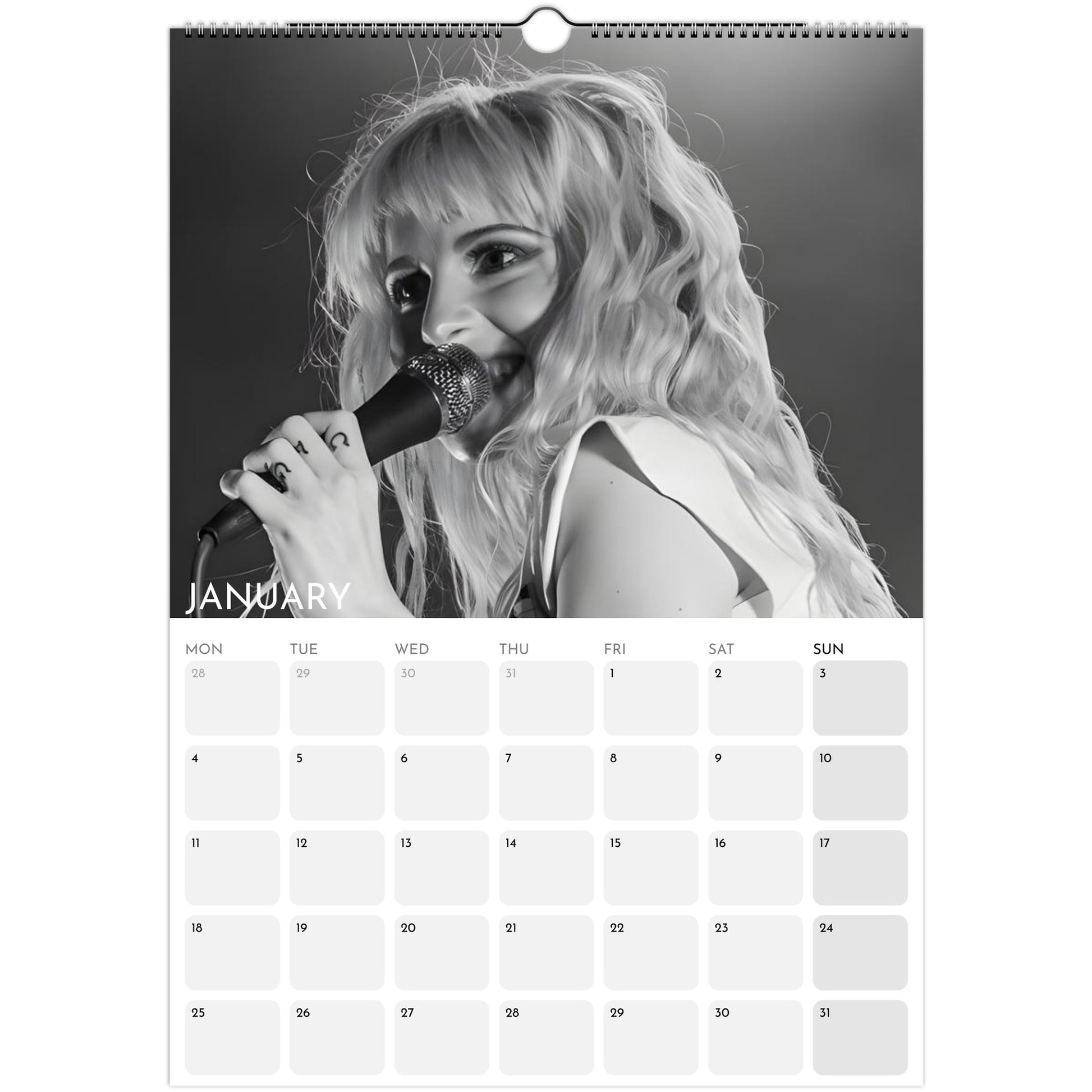 Hayley Williams Paramore 2026 A3 wall calendar January 2027