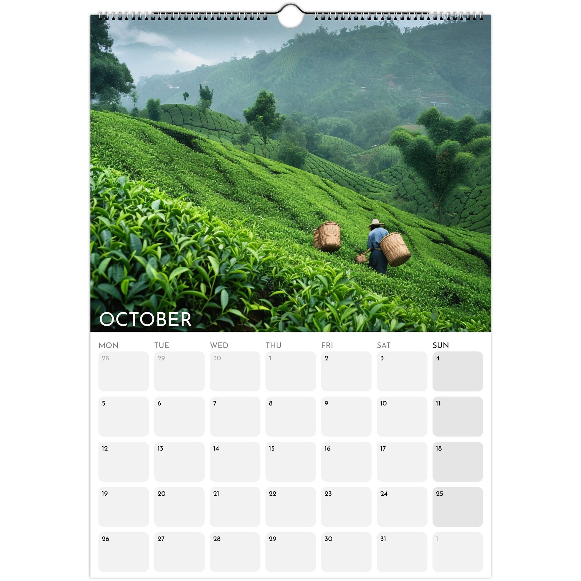 Tea Lovers 2026 A3 wall calendar October