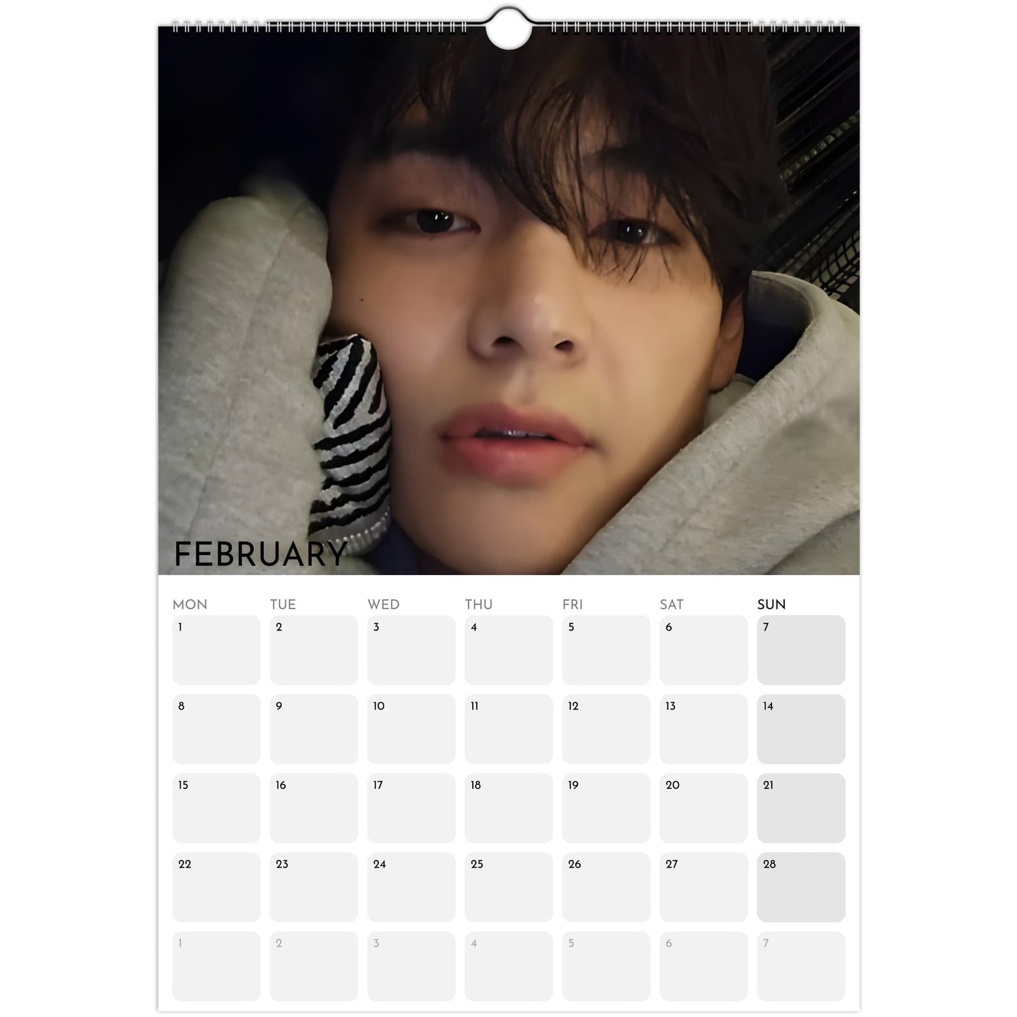 BTS Taehyung V 2026 A3 boyfriend‑style wall calendar February 2027