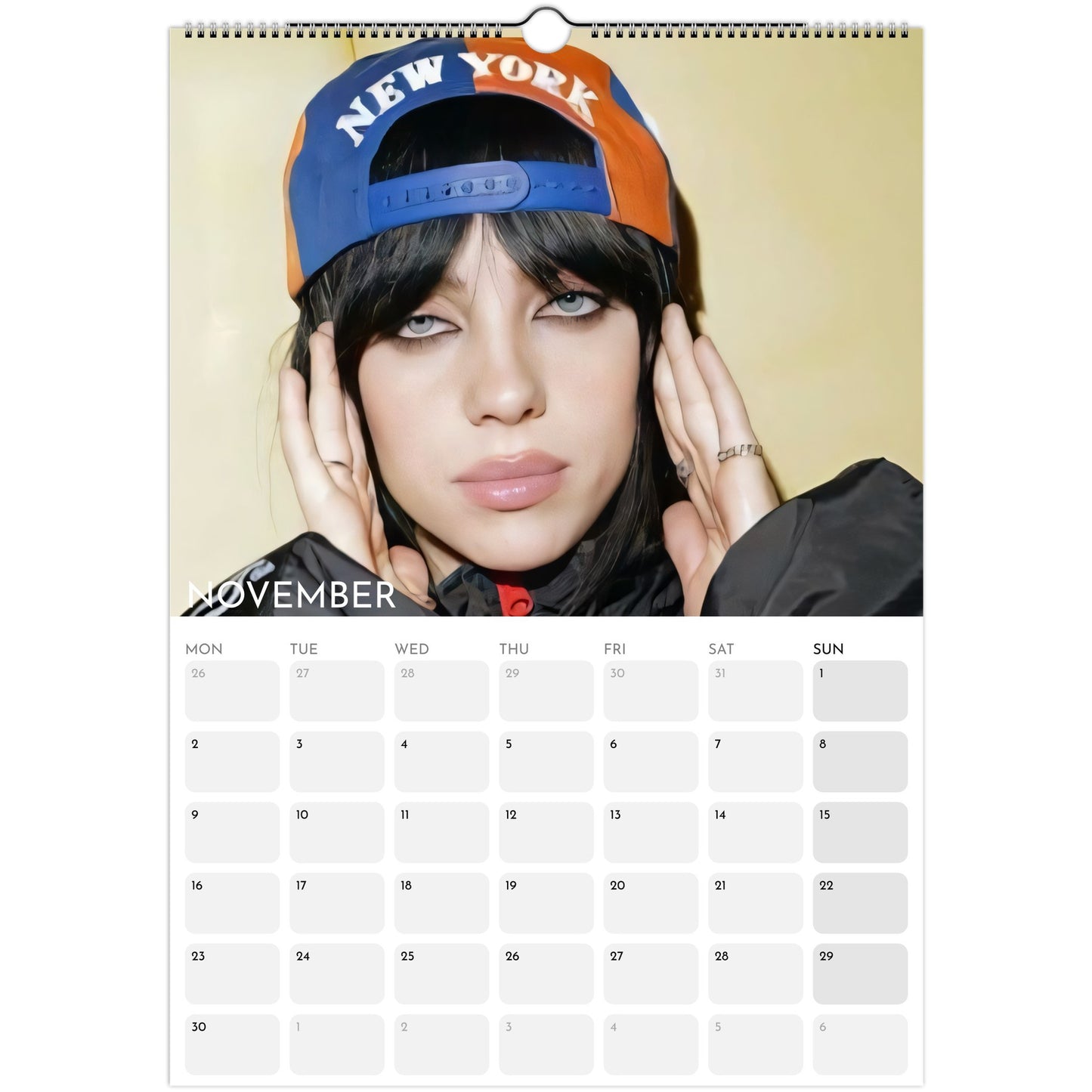 Billie Eilish 2026 A3 wall calendar November