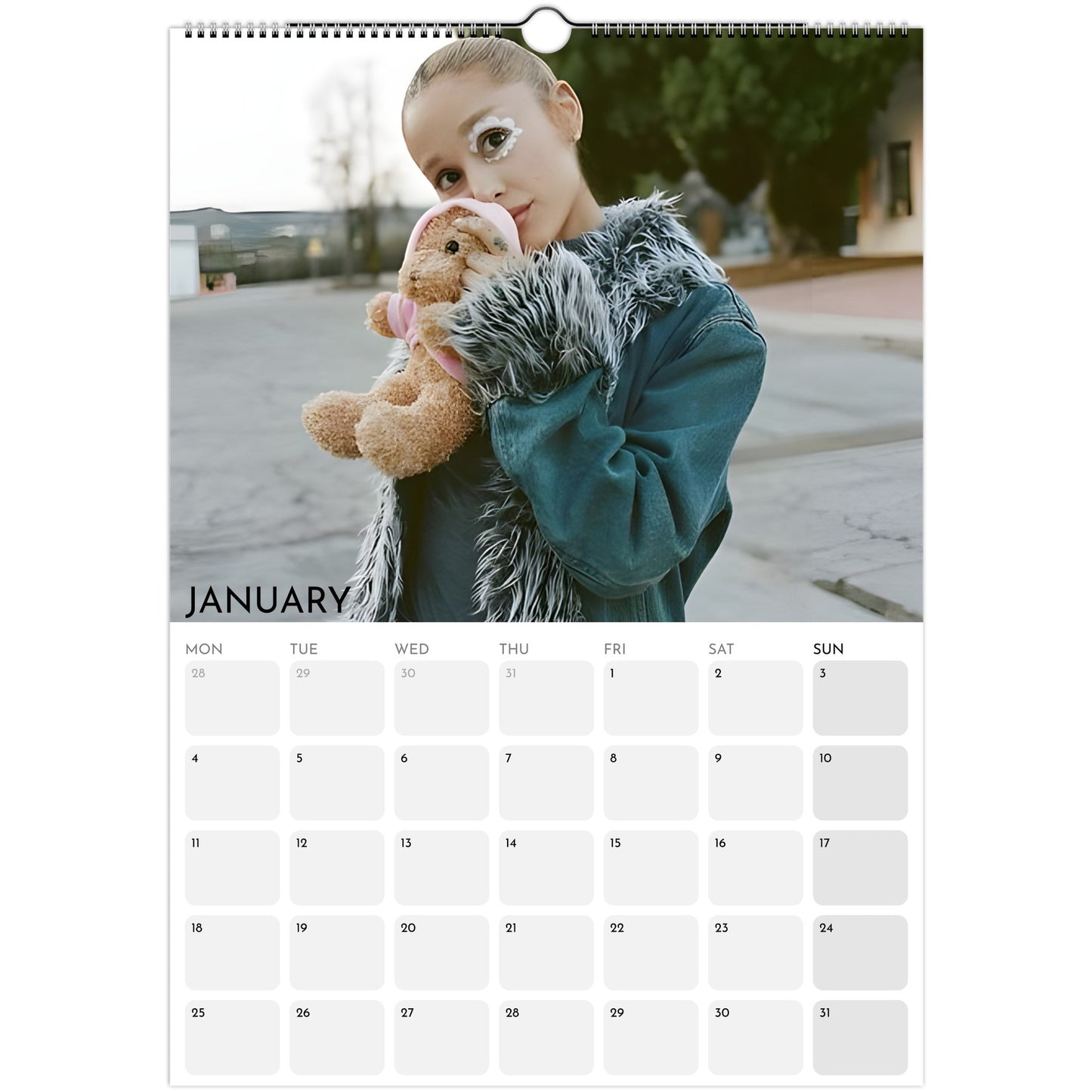 Ariana Grande 2026 A3 wall calendar January