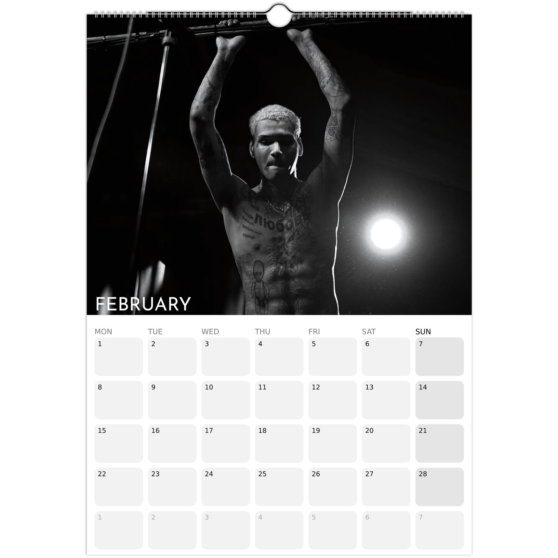 EKKSTACY 2026 A3 wall calendar February