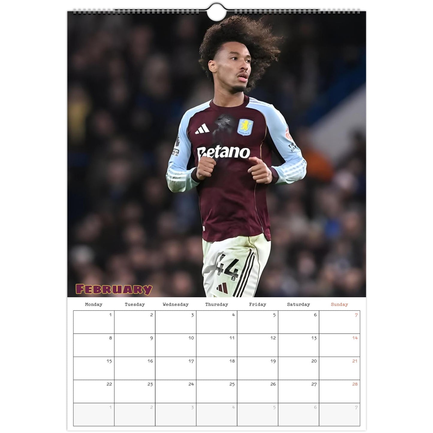 Aston Villa Calendar February page