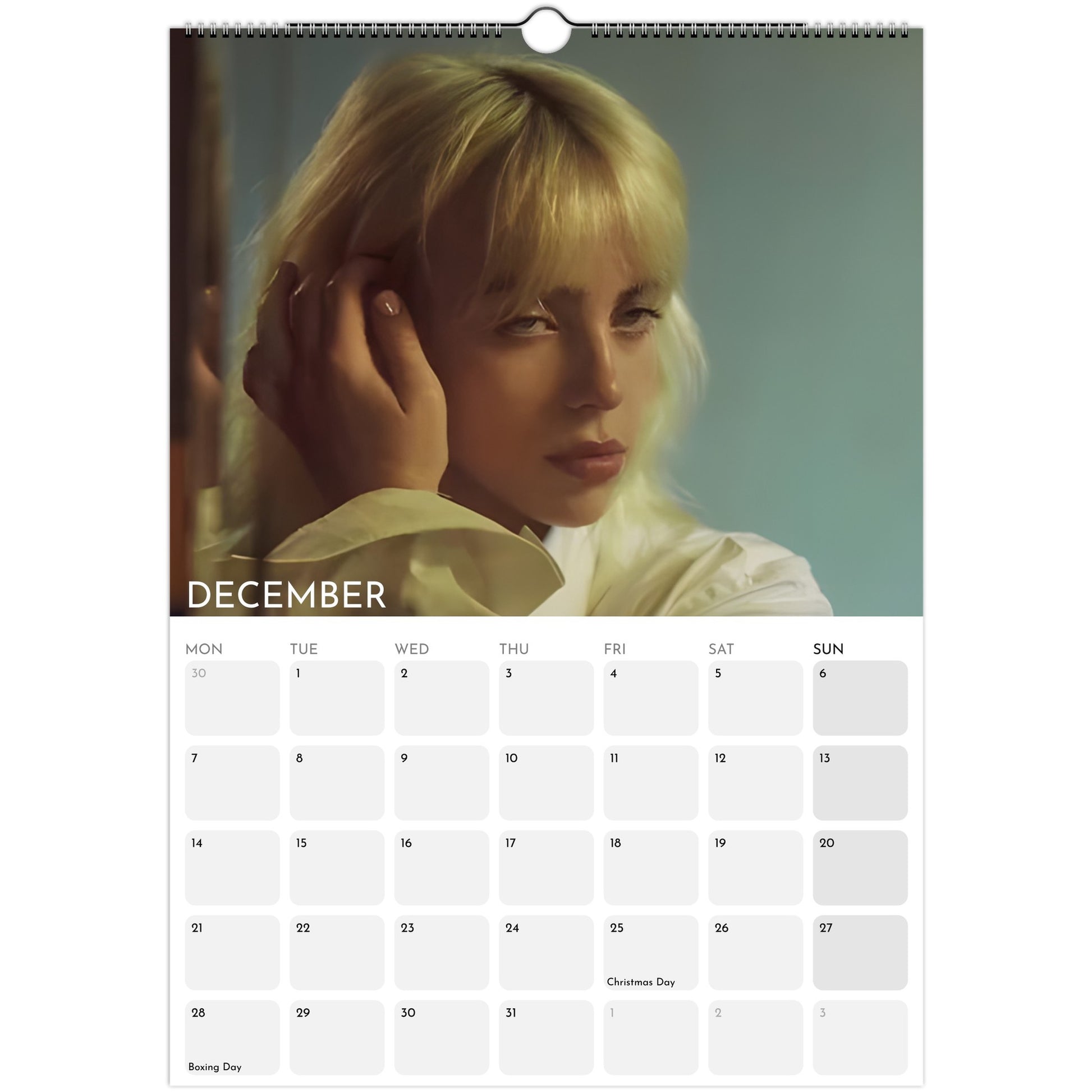 Billie Eilish 2026 A3 wall calendar December