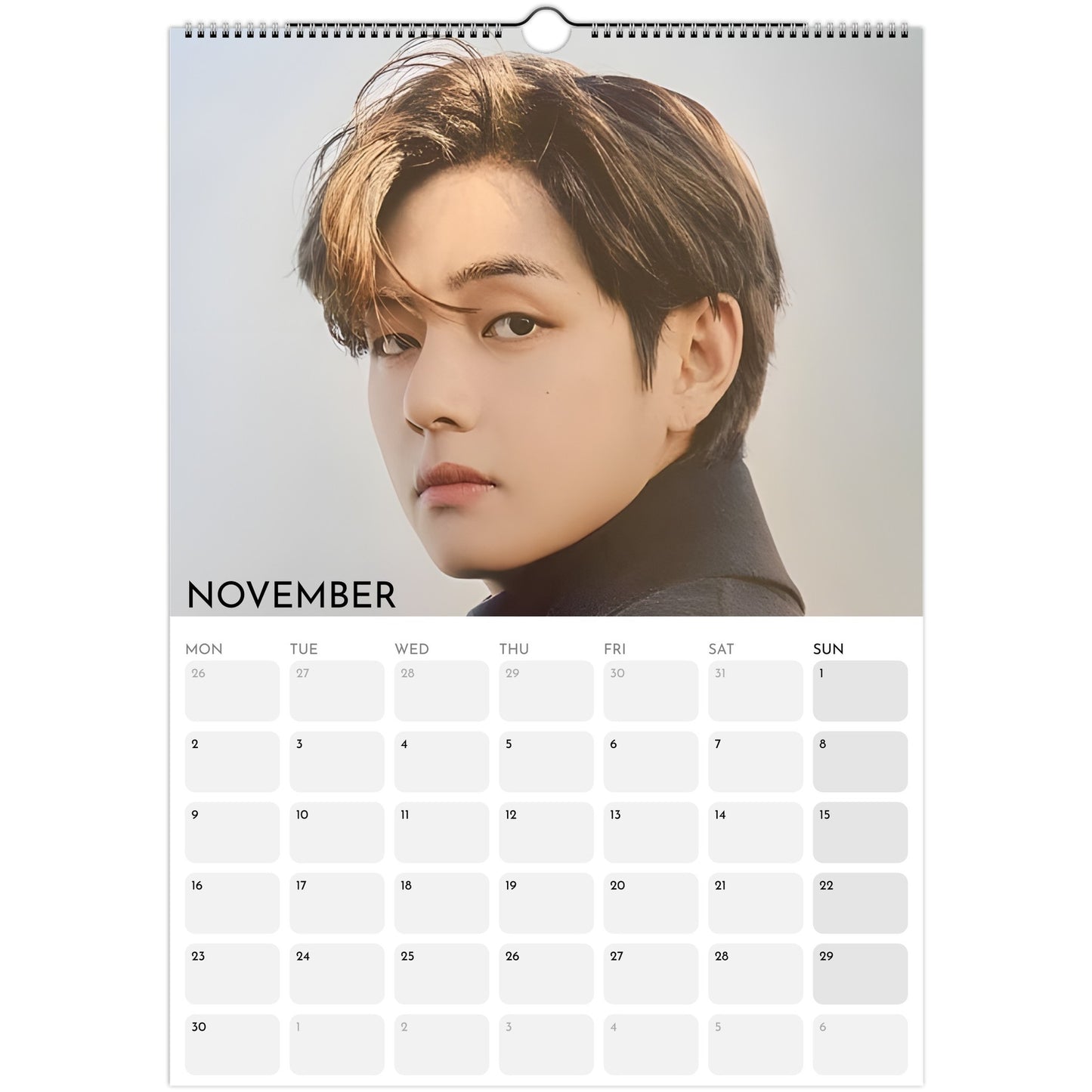 BTS V Kim Taehyung 2026 A3 wall calendar November