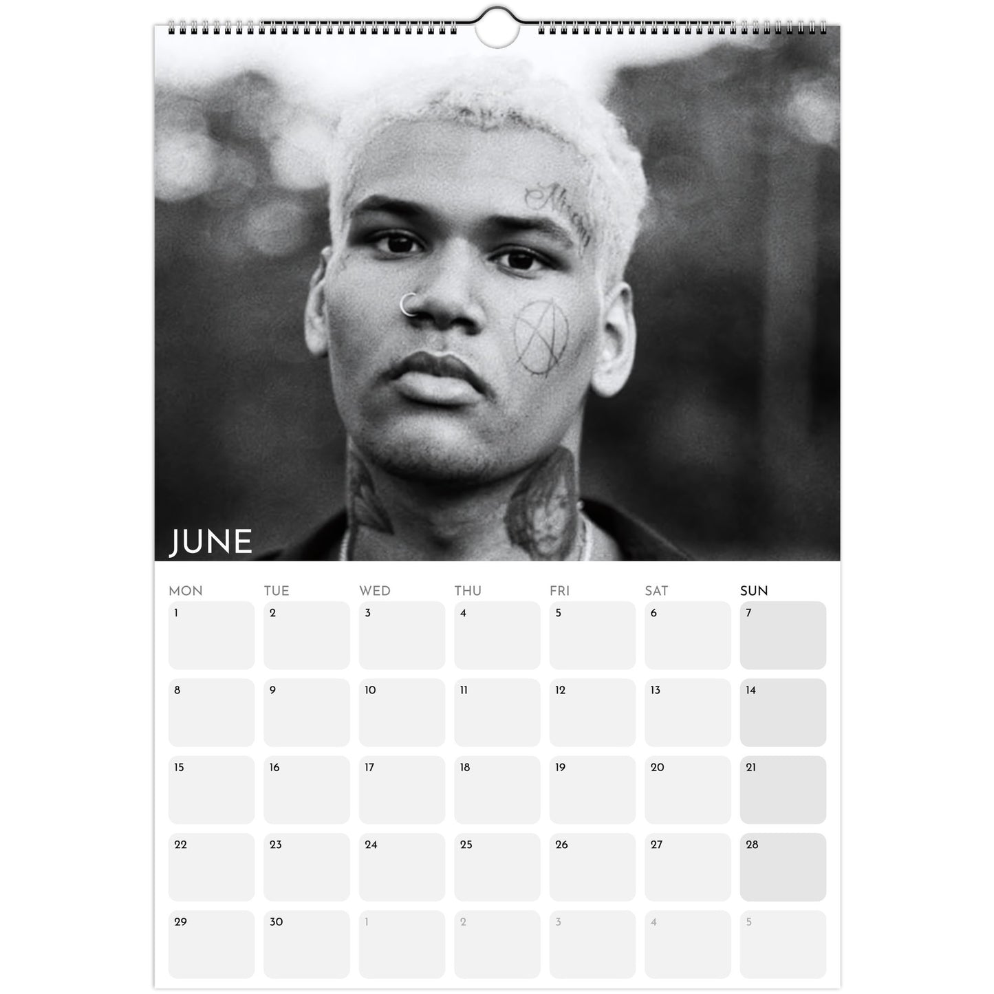EKKSTACY 2026 A3 wall calendar June
