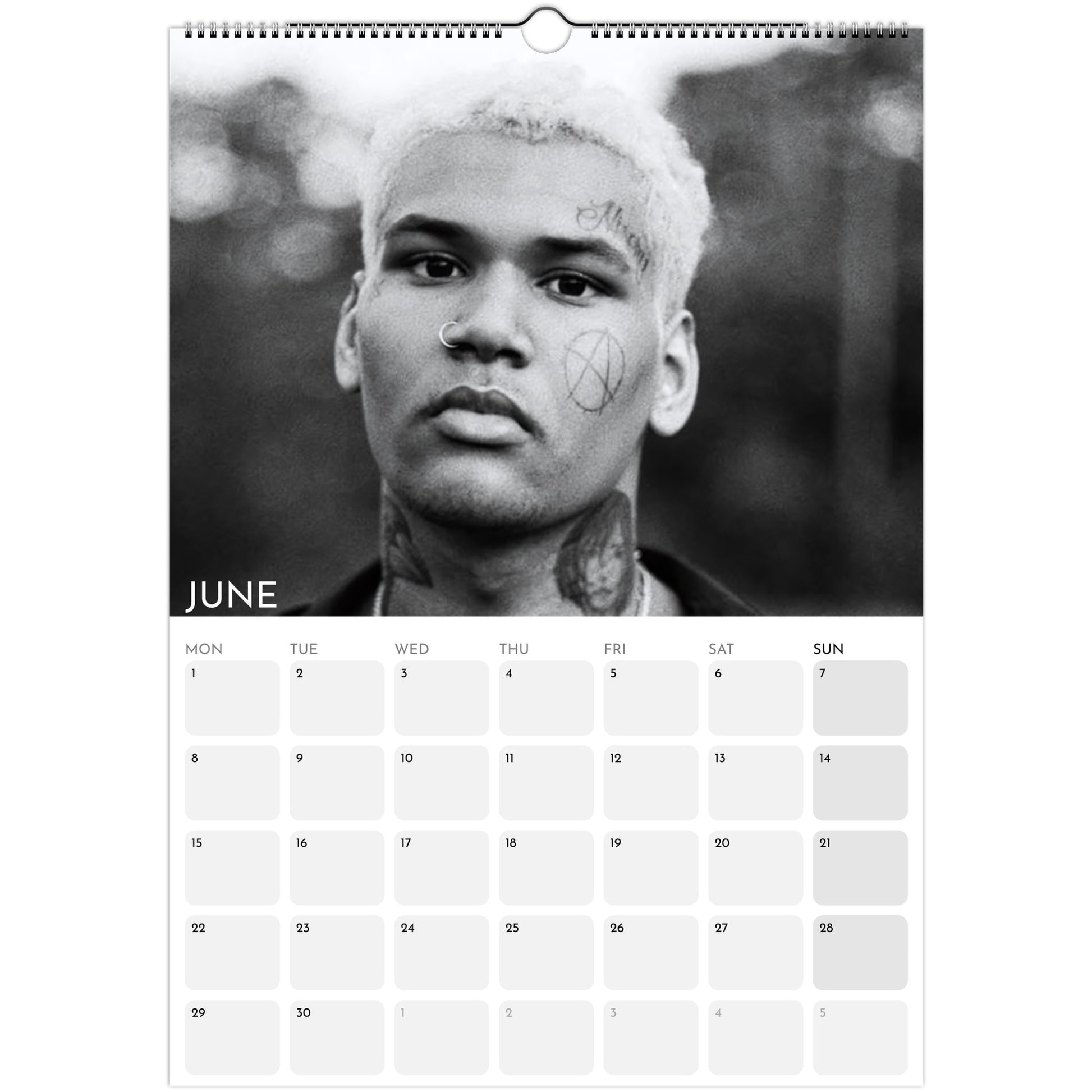 EKKSTACY 2026 A3 wall calendar June