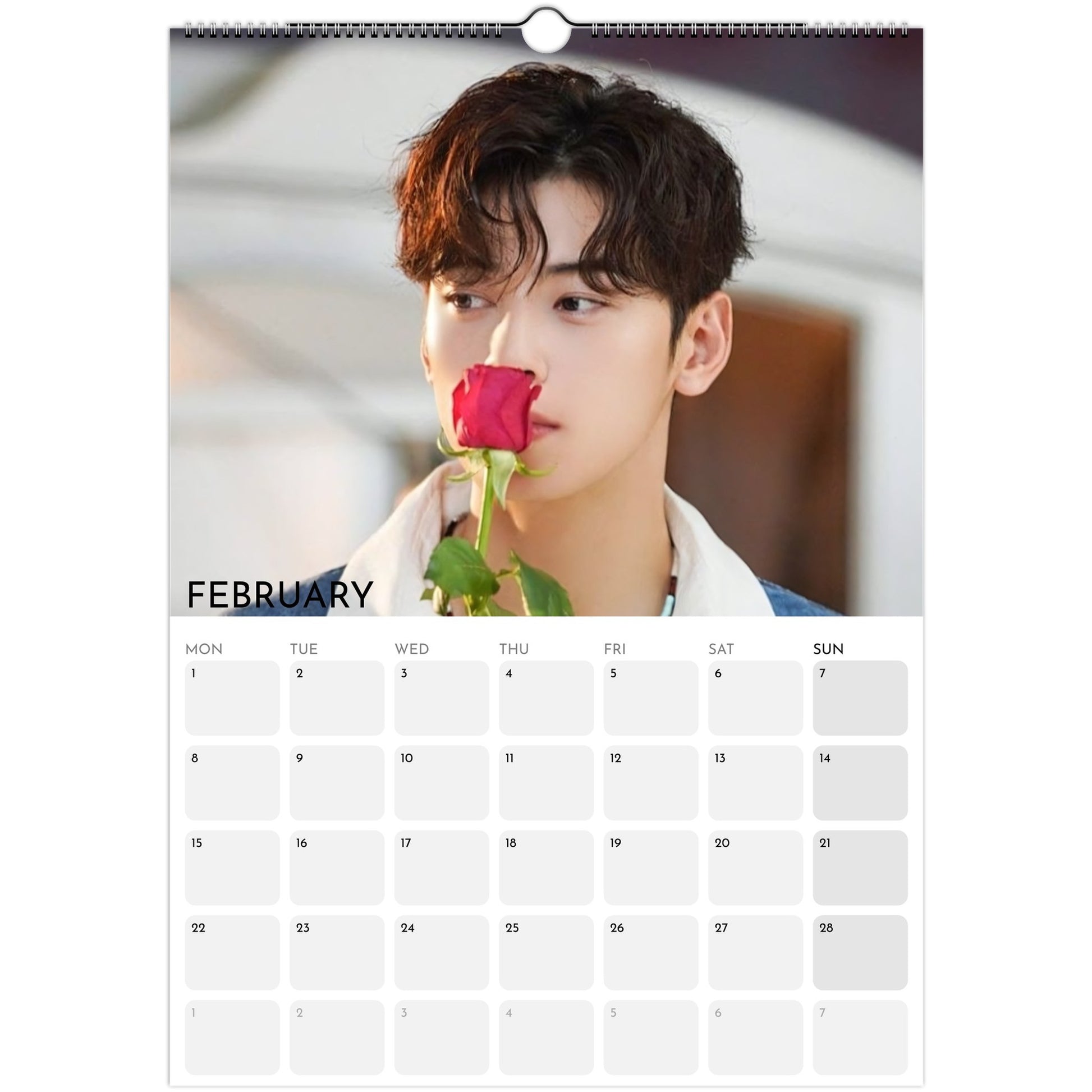 Cha Eun‑woo 2026 A3 wall calendar February