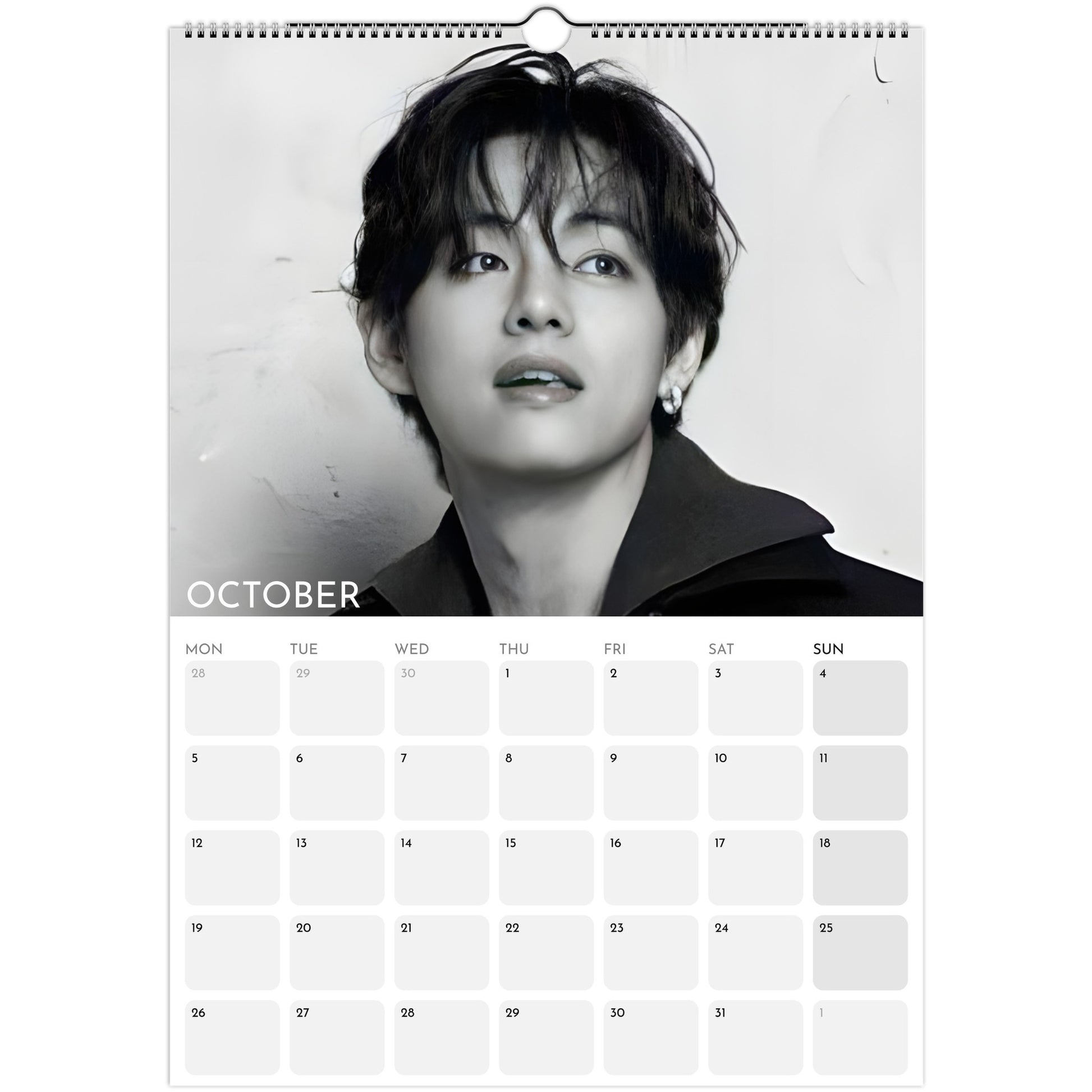 BTS V Kim Taehyung 2026 A3 wall calendar October