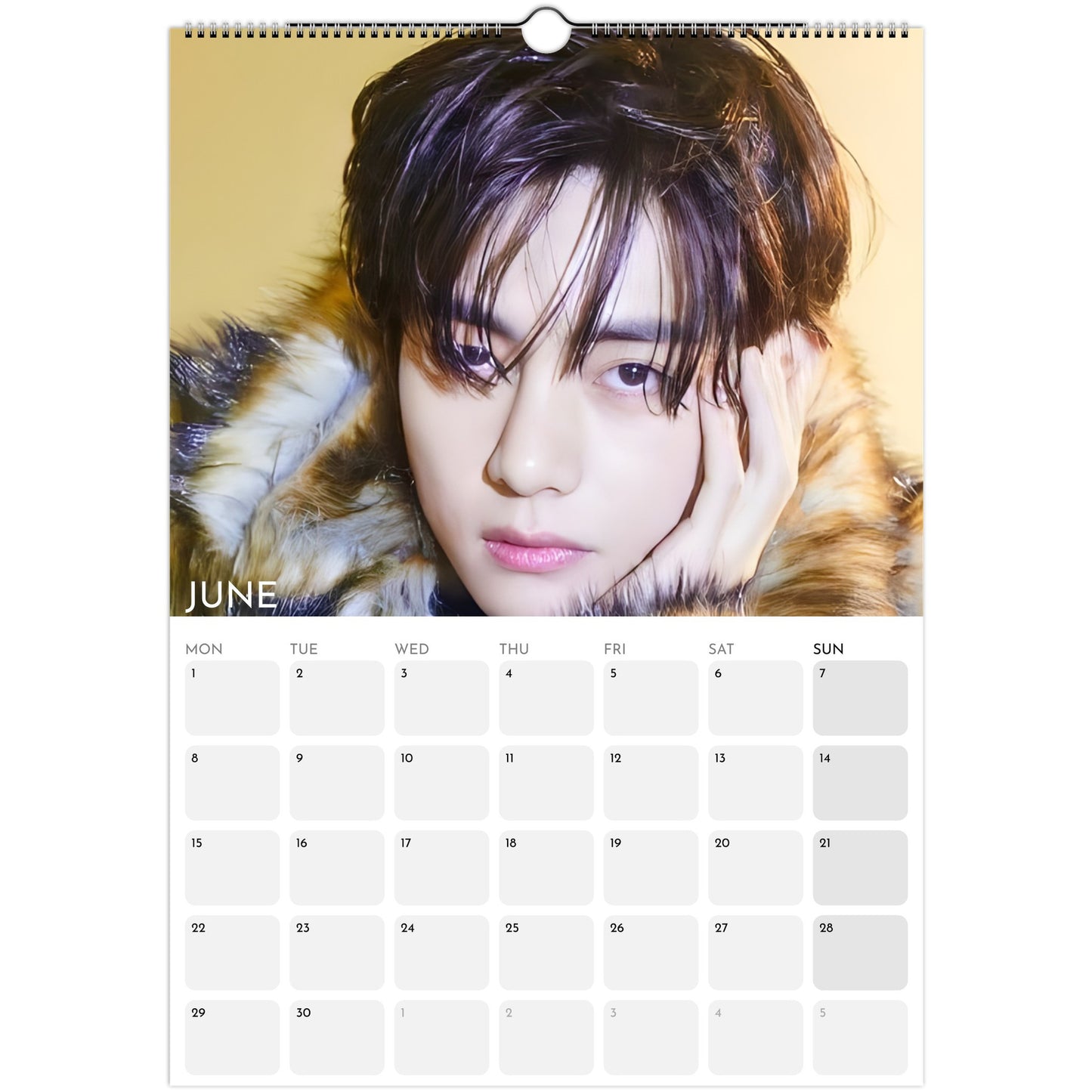 BTS V Kim Taehyung 2026 A3 wall calendar June