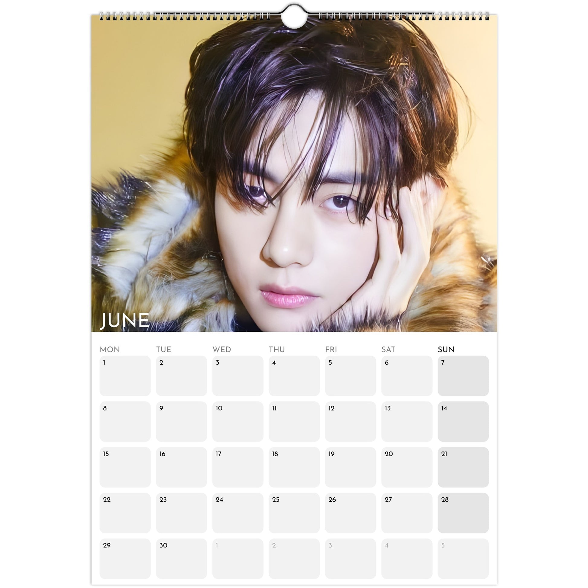 BTS V Kim Taehyung 2026 A3 wall calendar June