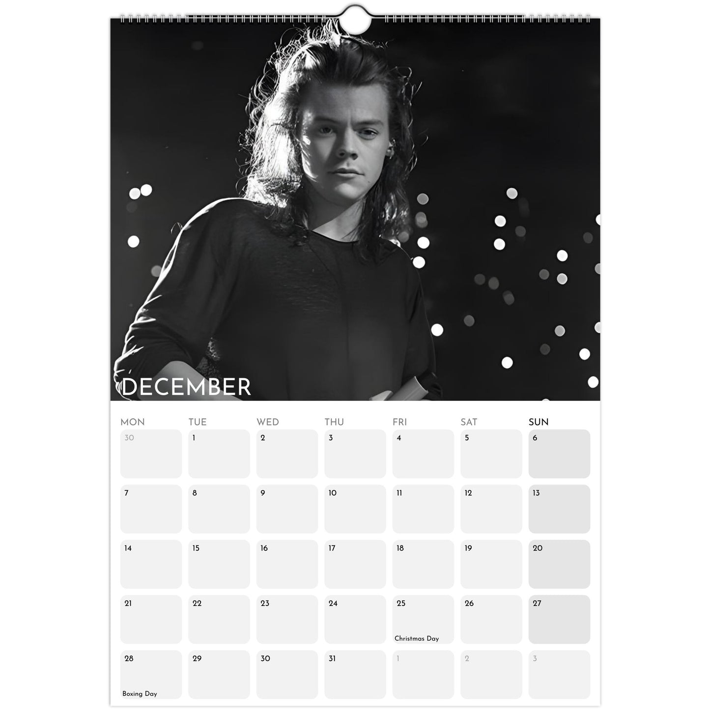 Harry Styles 2026 A3 wall calendar December