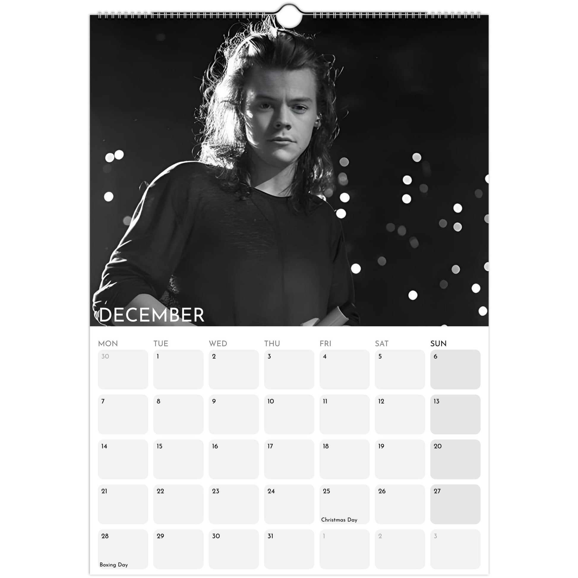 Harry Styles 2026 A3 wall calendar December