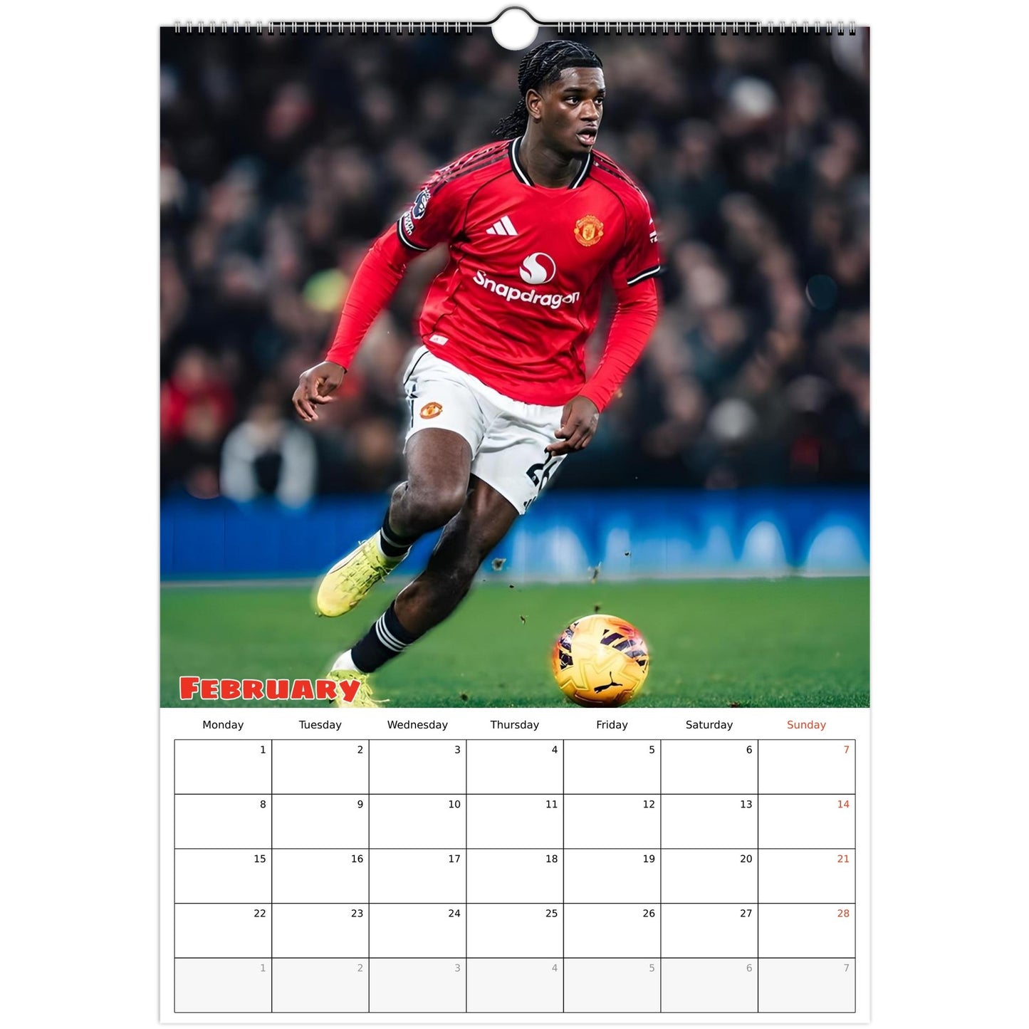 Manchester United February page 