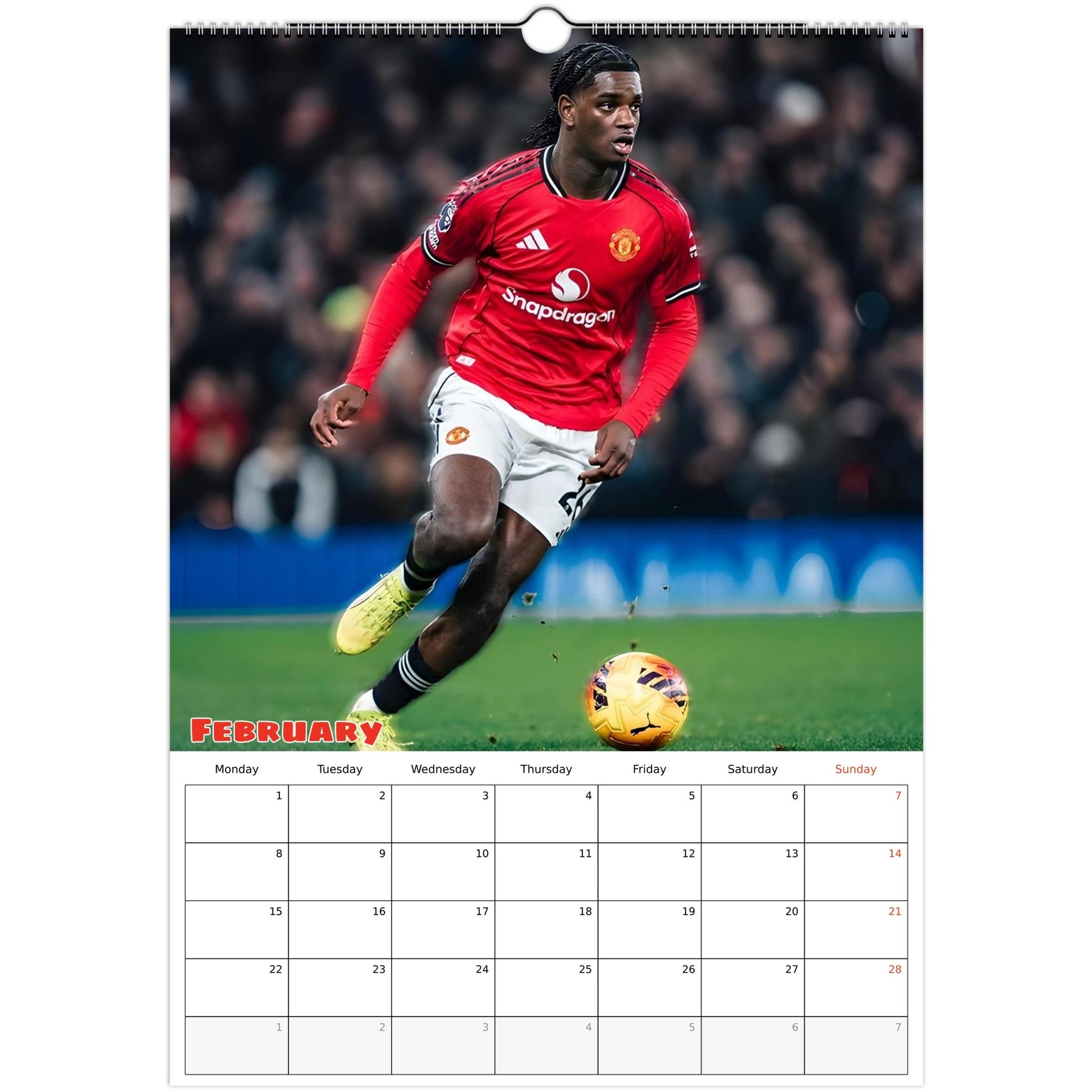 Manchester United February page 