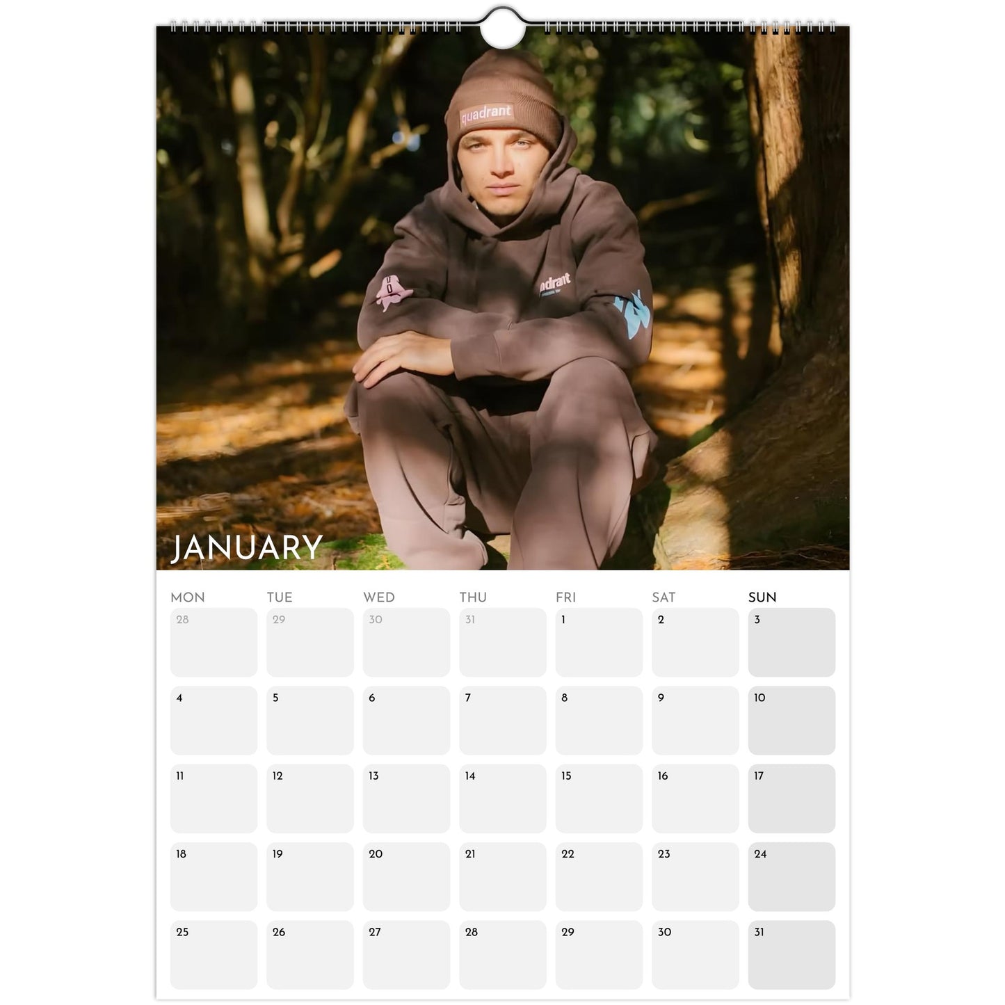 Lando Norris stylish F1 fan calendar