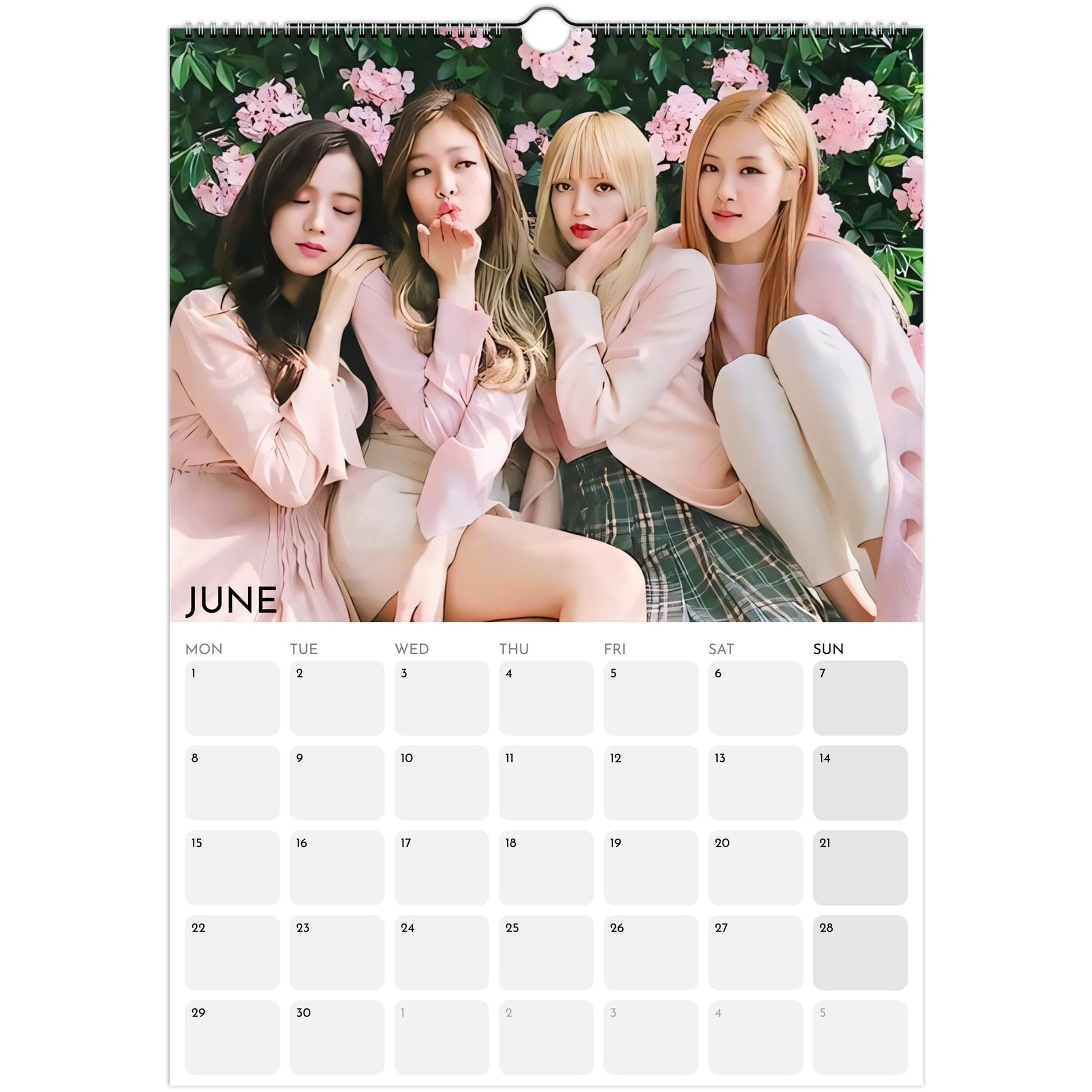 BLACKPINK 2026 A3 wall calendar June