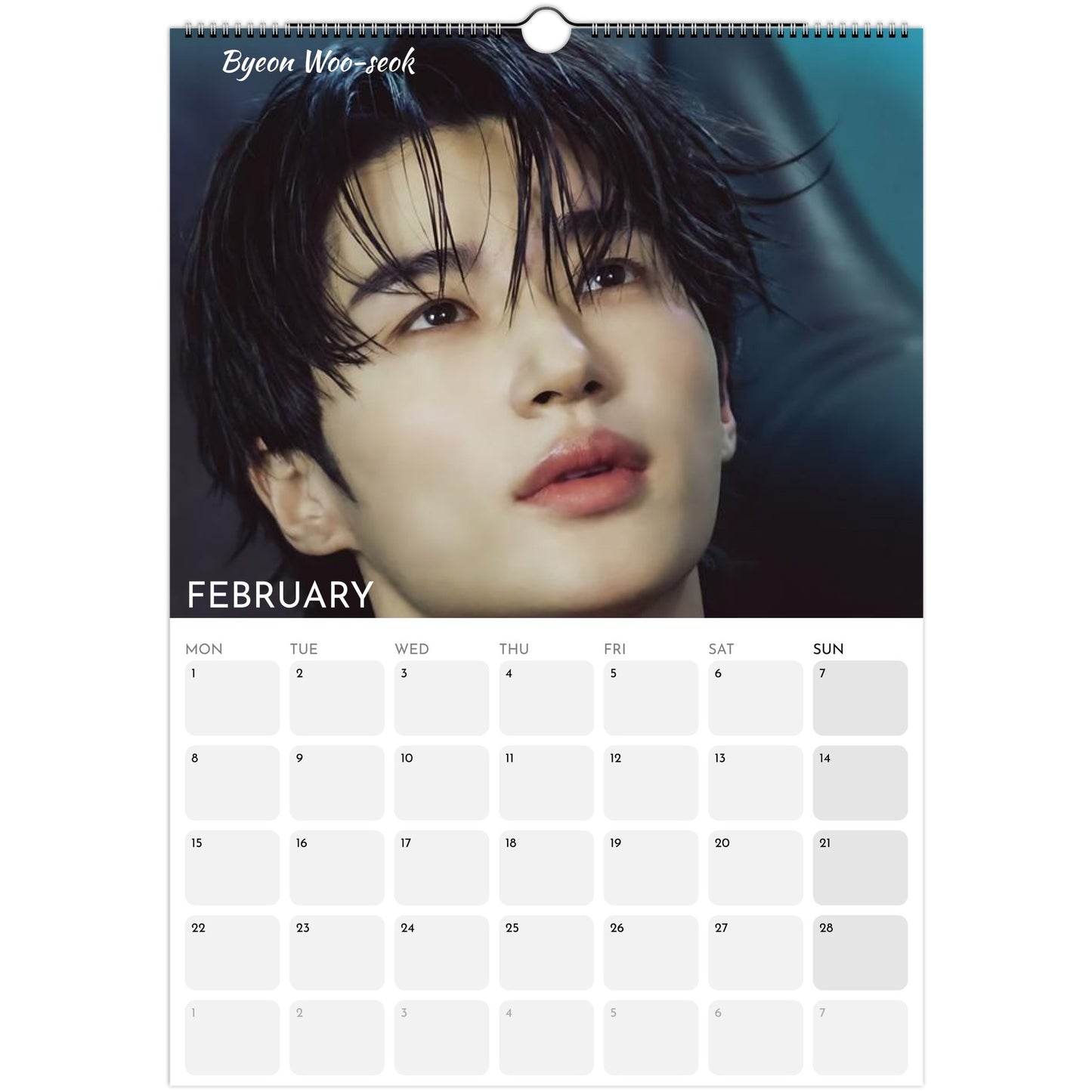 Hot Korean Actors 2026 A3 wall calendar February 2027