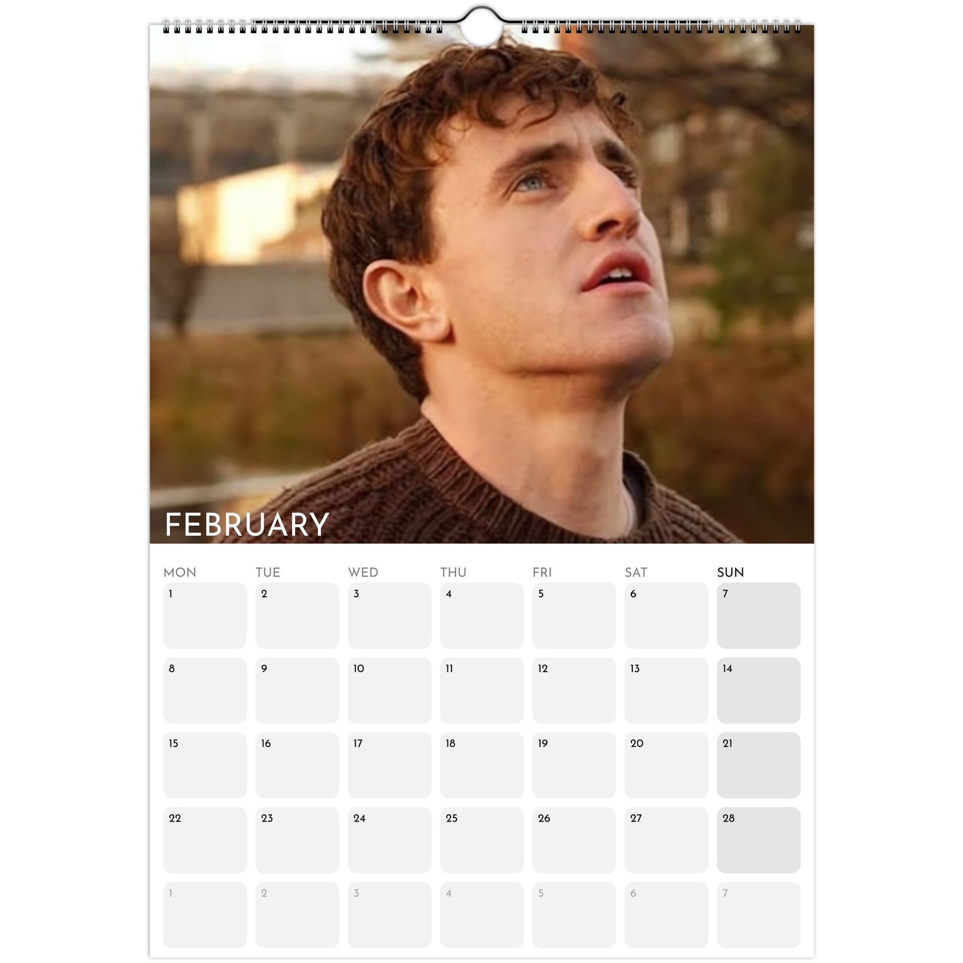 Paul Mescal 2026 A3 wall calendar February 2027
