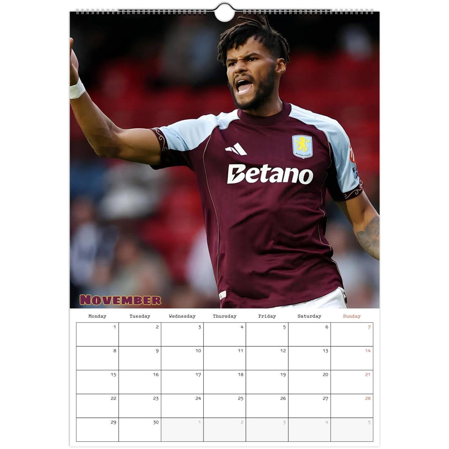 Aston Villa Calendar November page