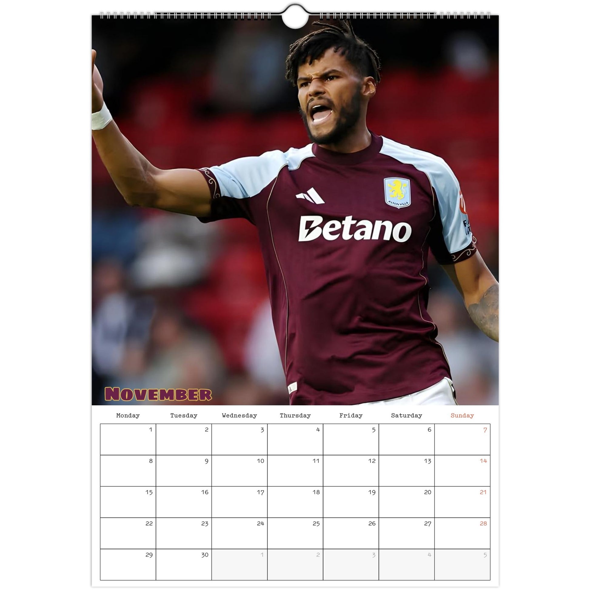 Aston Villa Calendar November page