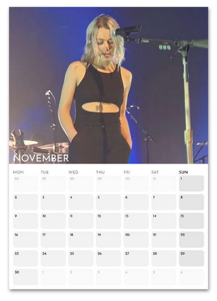 Phoebe Bridgers November 2026 calendar page