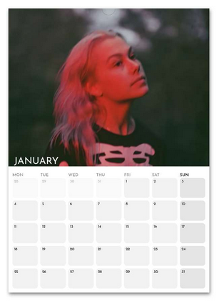 Phoebe Bridgers January 2027 calendar page