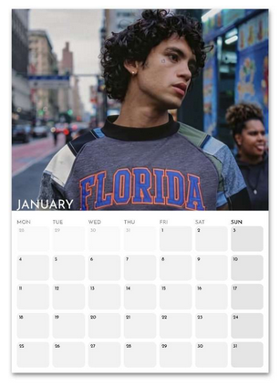 Dominic Fike January 2027 calendar page