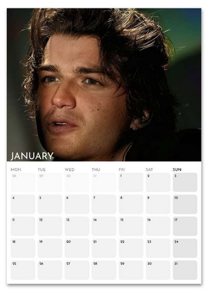 Joe Keery January 2027 calendar page