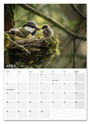 Animals in Nature April 2026 calendar page