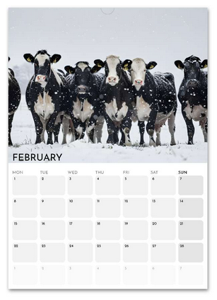 Animals in Nature February 2027 calendar page